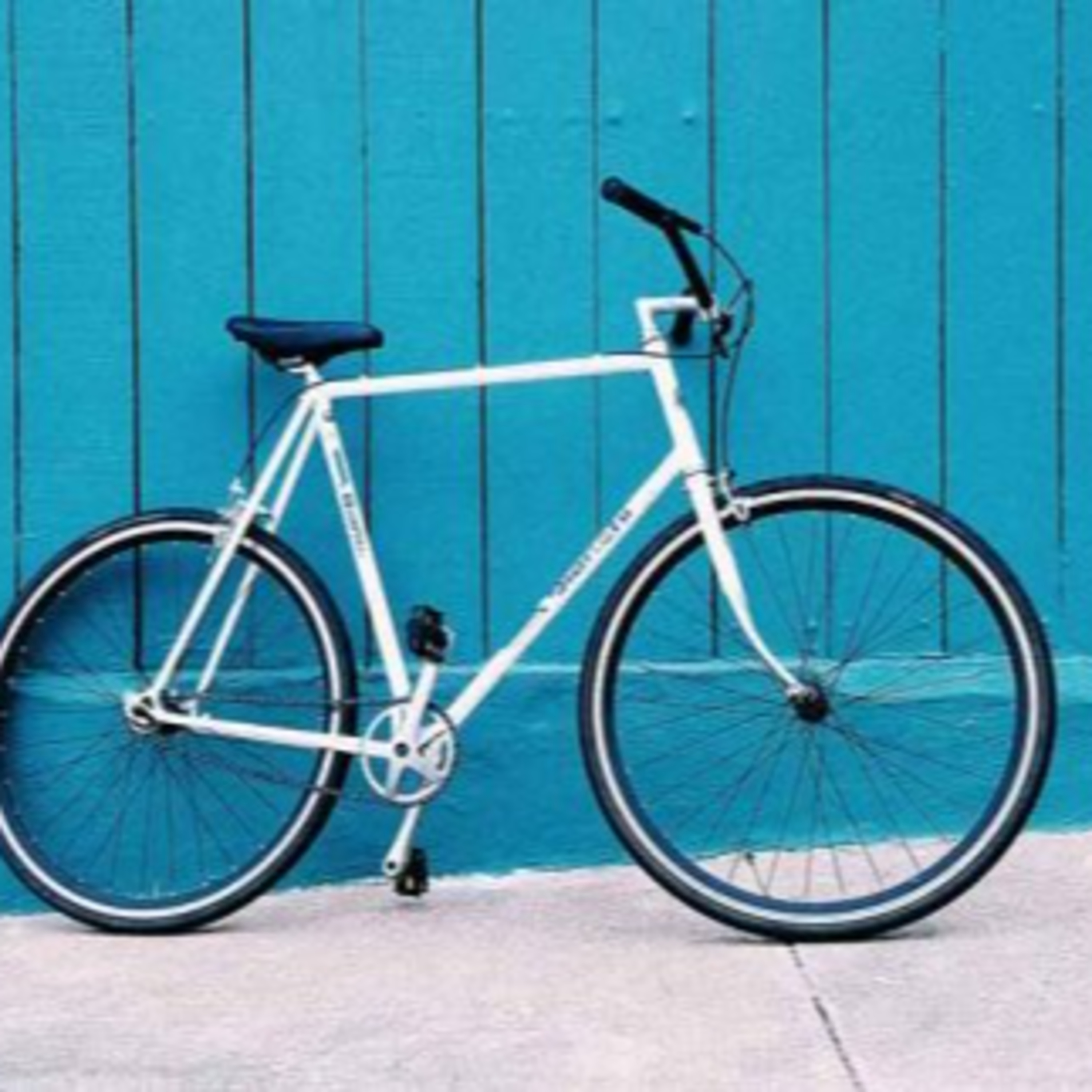 PlumeMag Sürdürülebilir Yaşam Trendleri