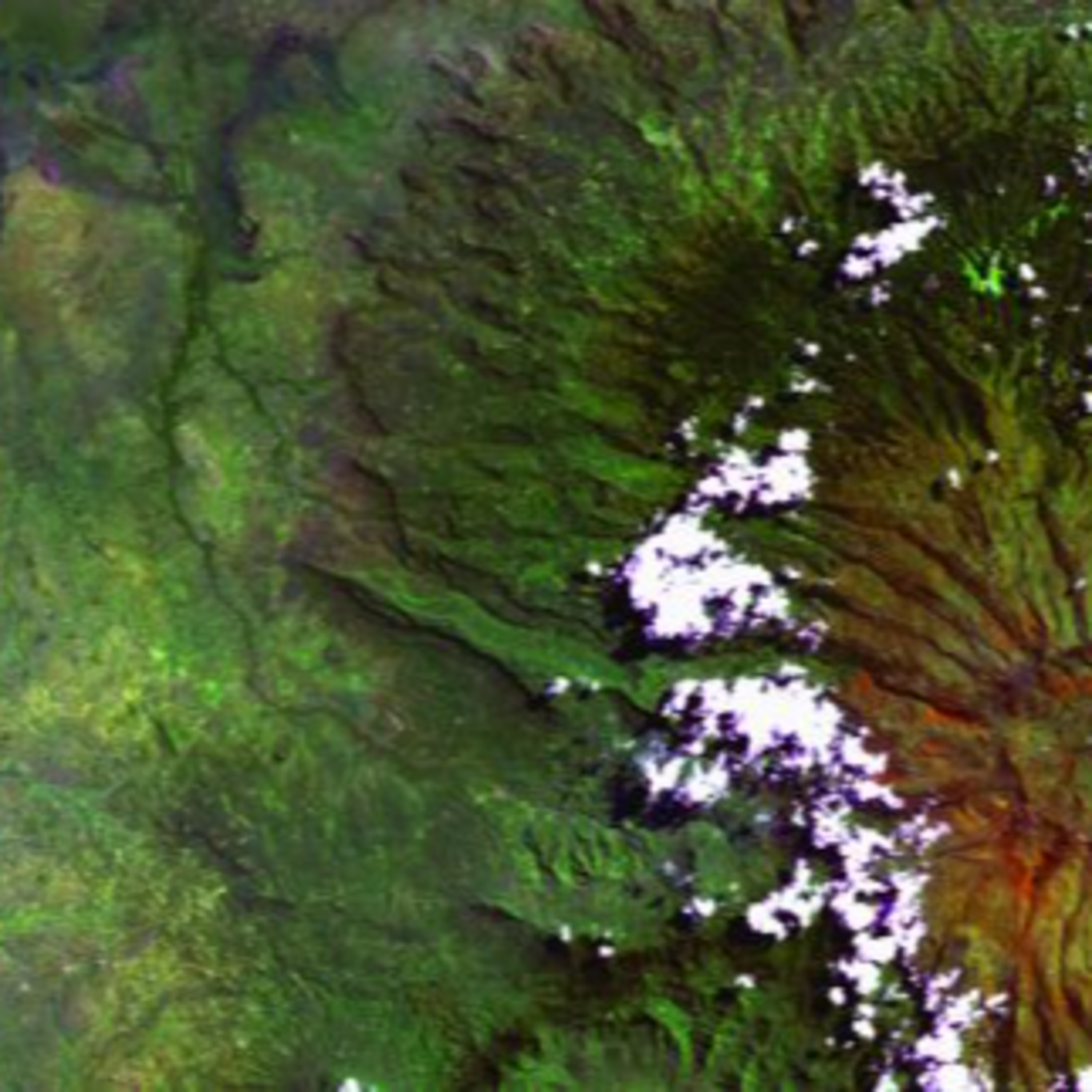 PlumeMag Sürdürülebilir Yaşam Trendleri