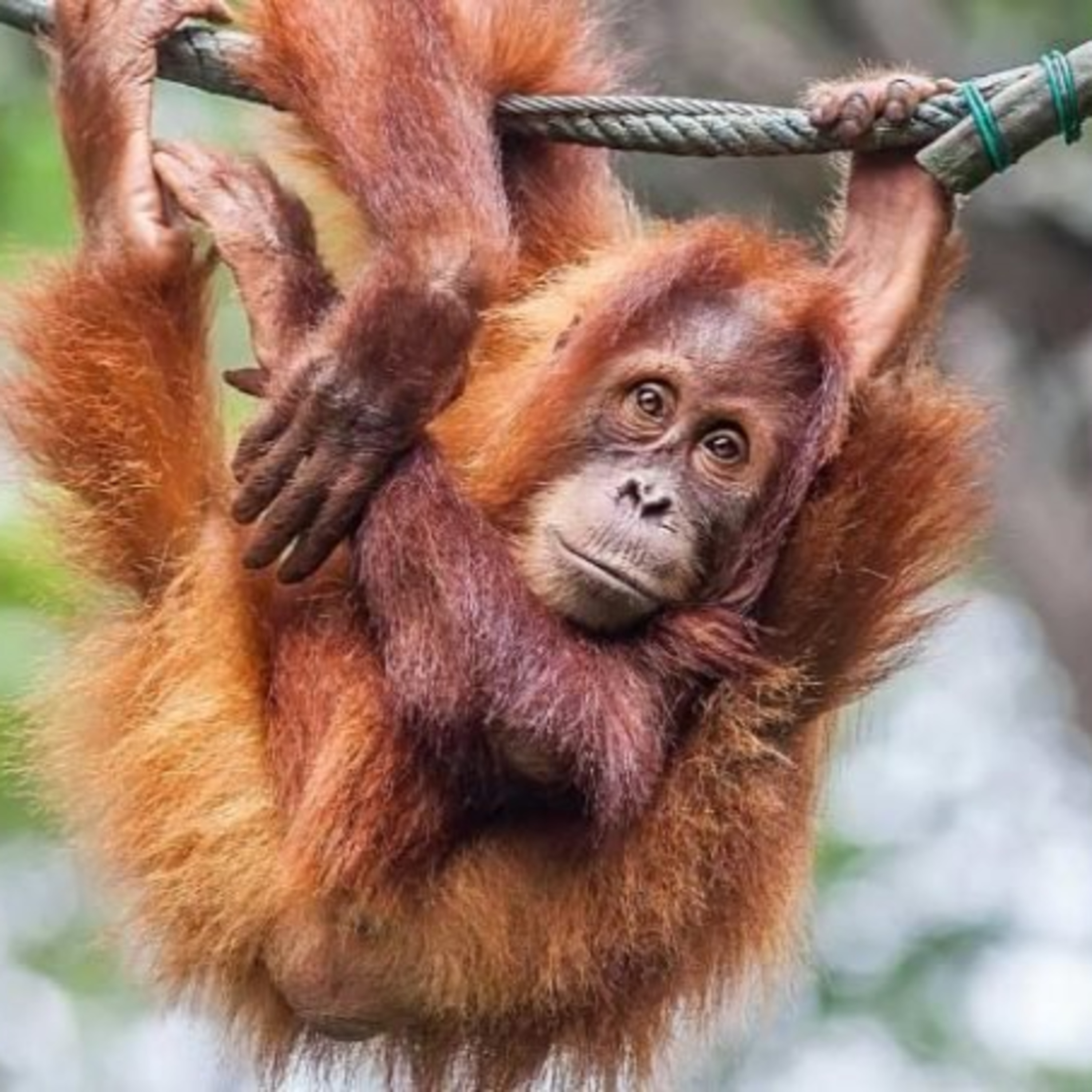 PlumeMag Sürdürülebilir Yaşam Trendleri