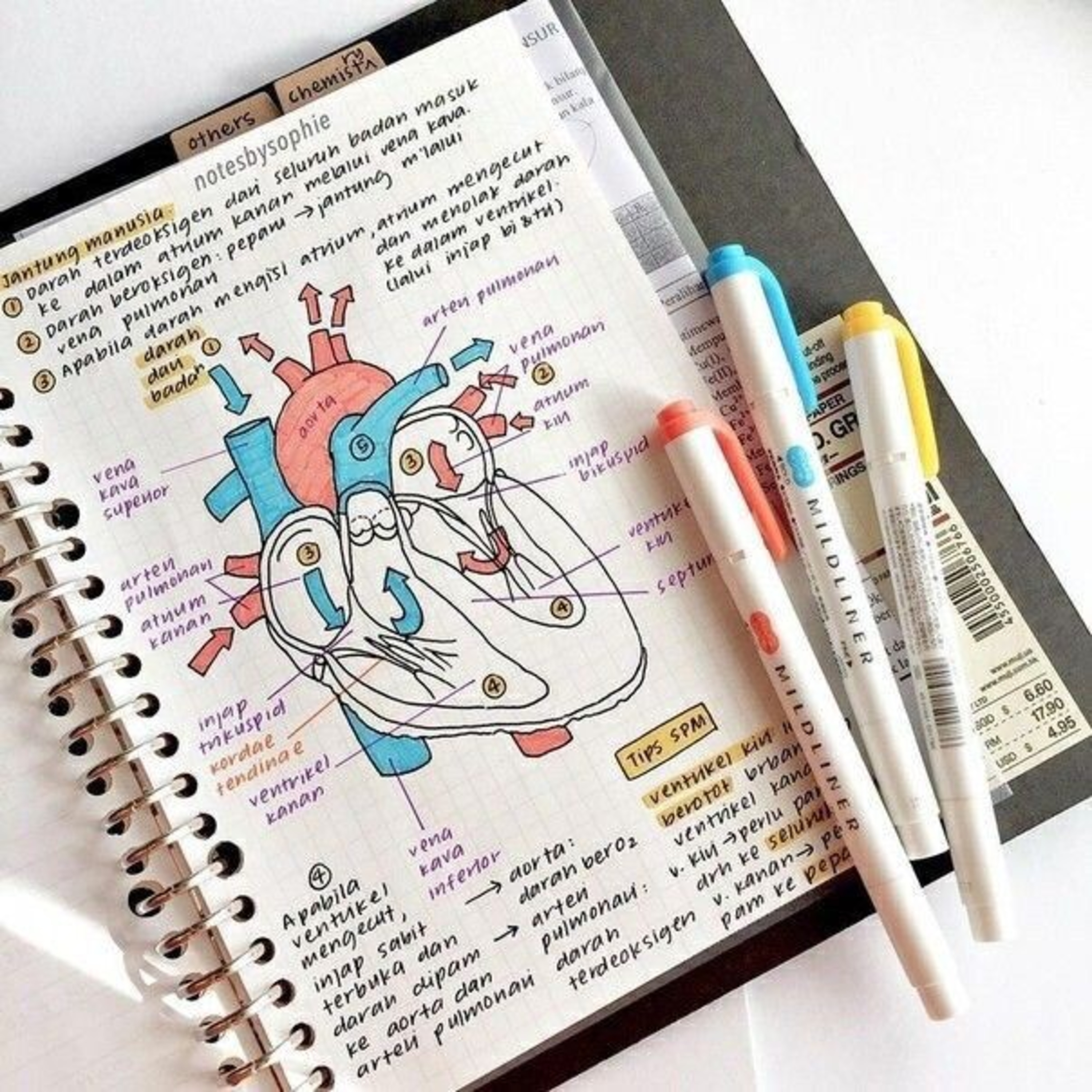 Pembelajaran sistem sirkulasi