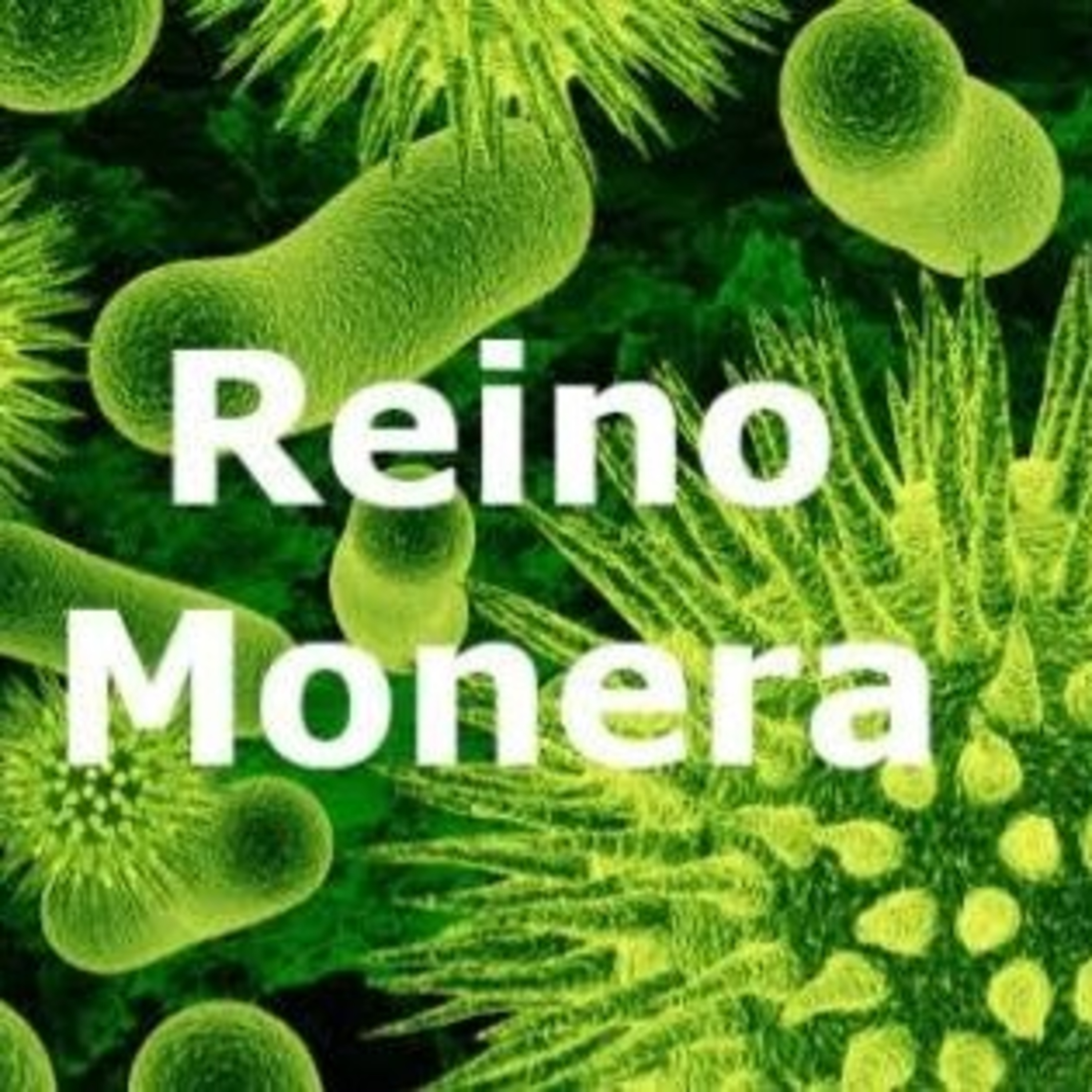 Reino monera