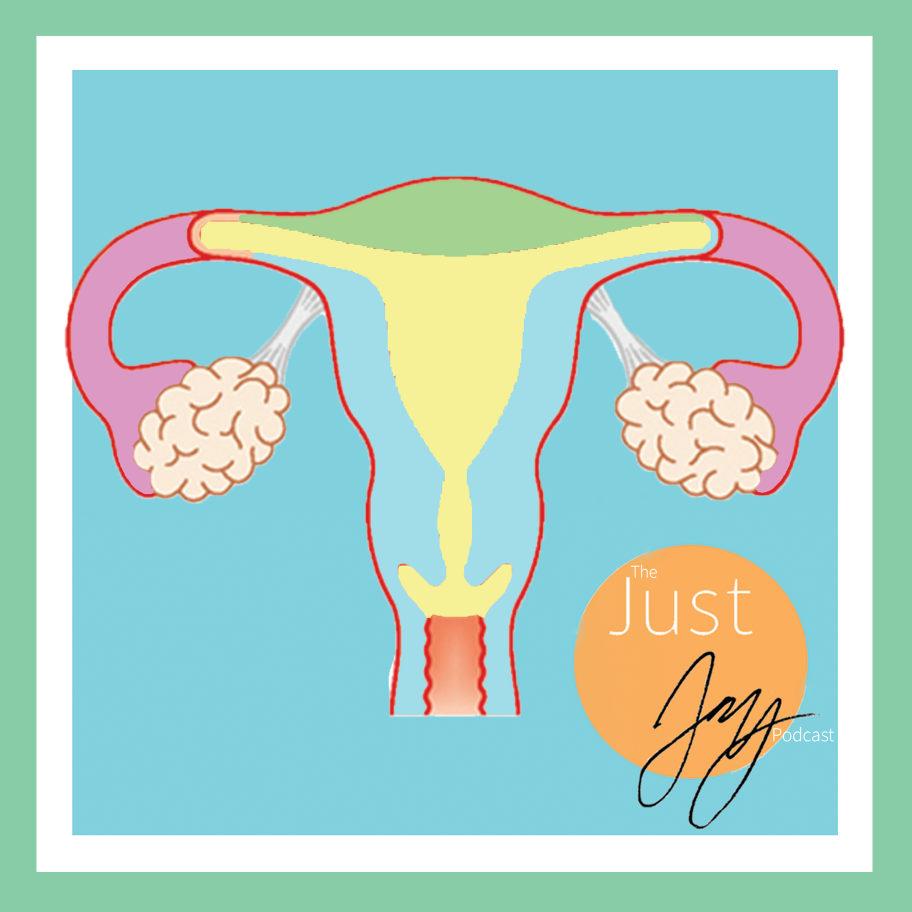 Sooo, IUD?  episode artwork