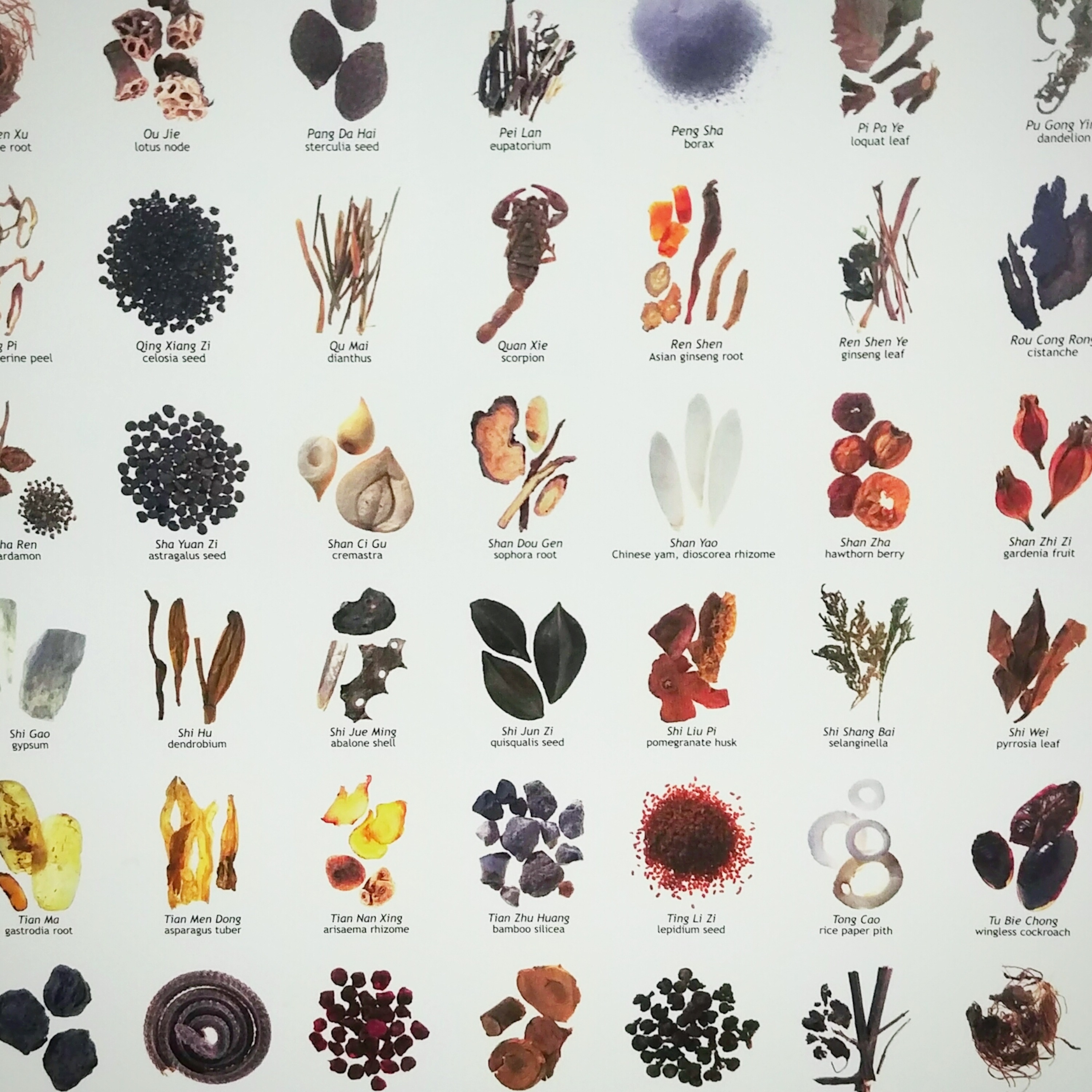 Supplements and Renovations