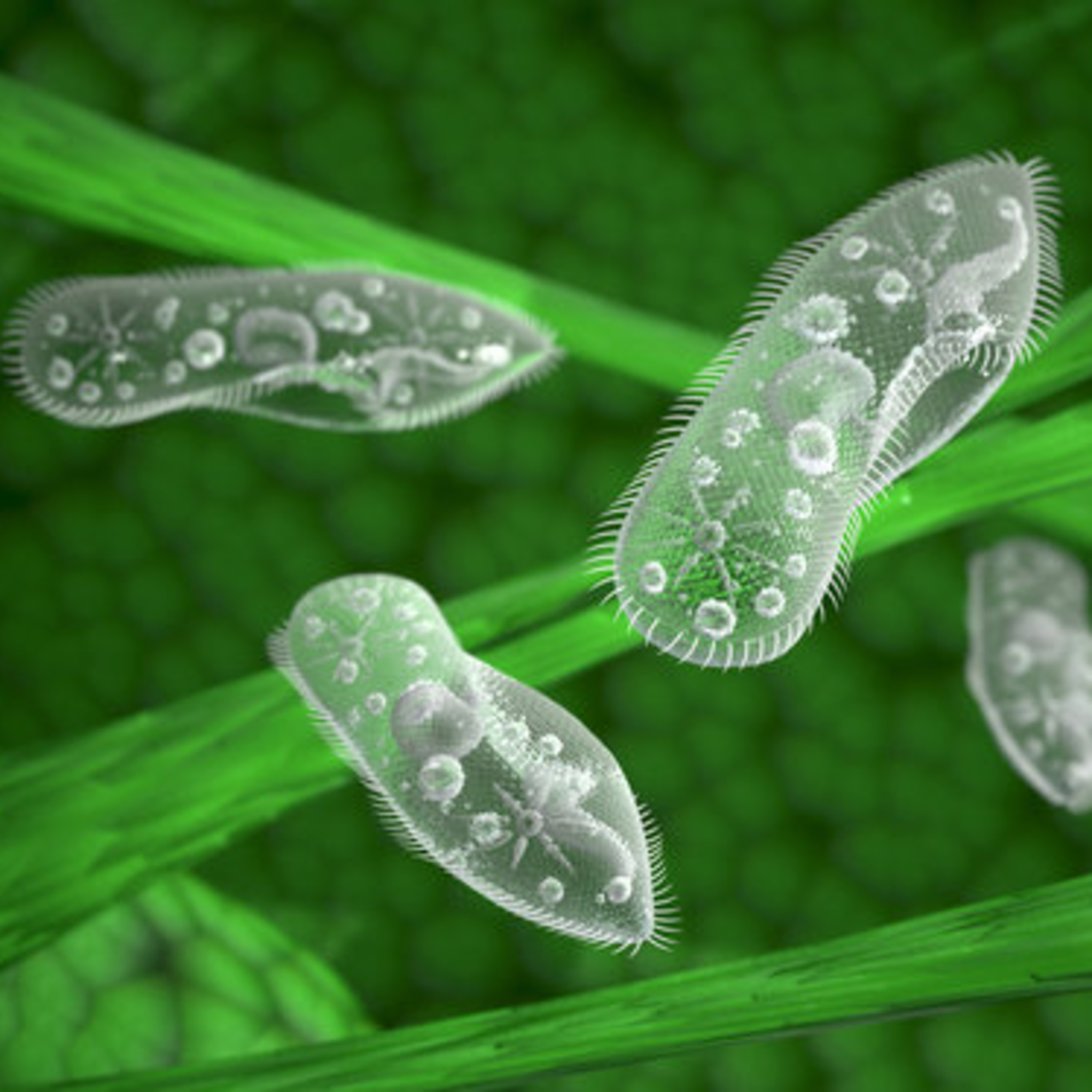 Biologia e Educação