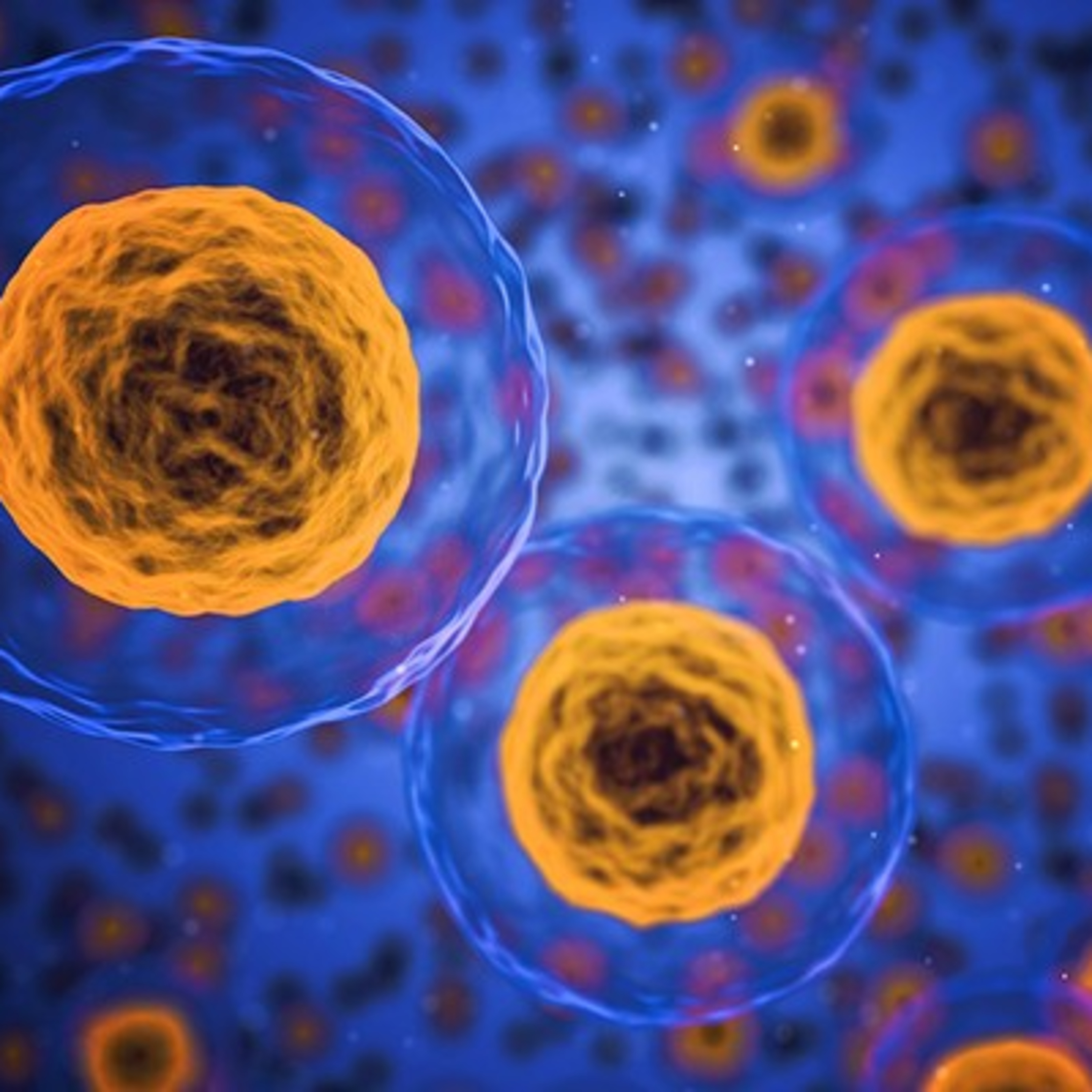 Biologia e Educação