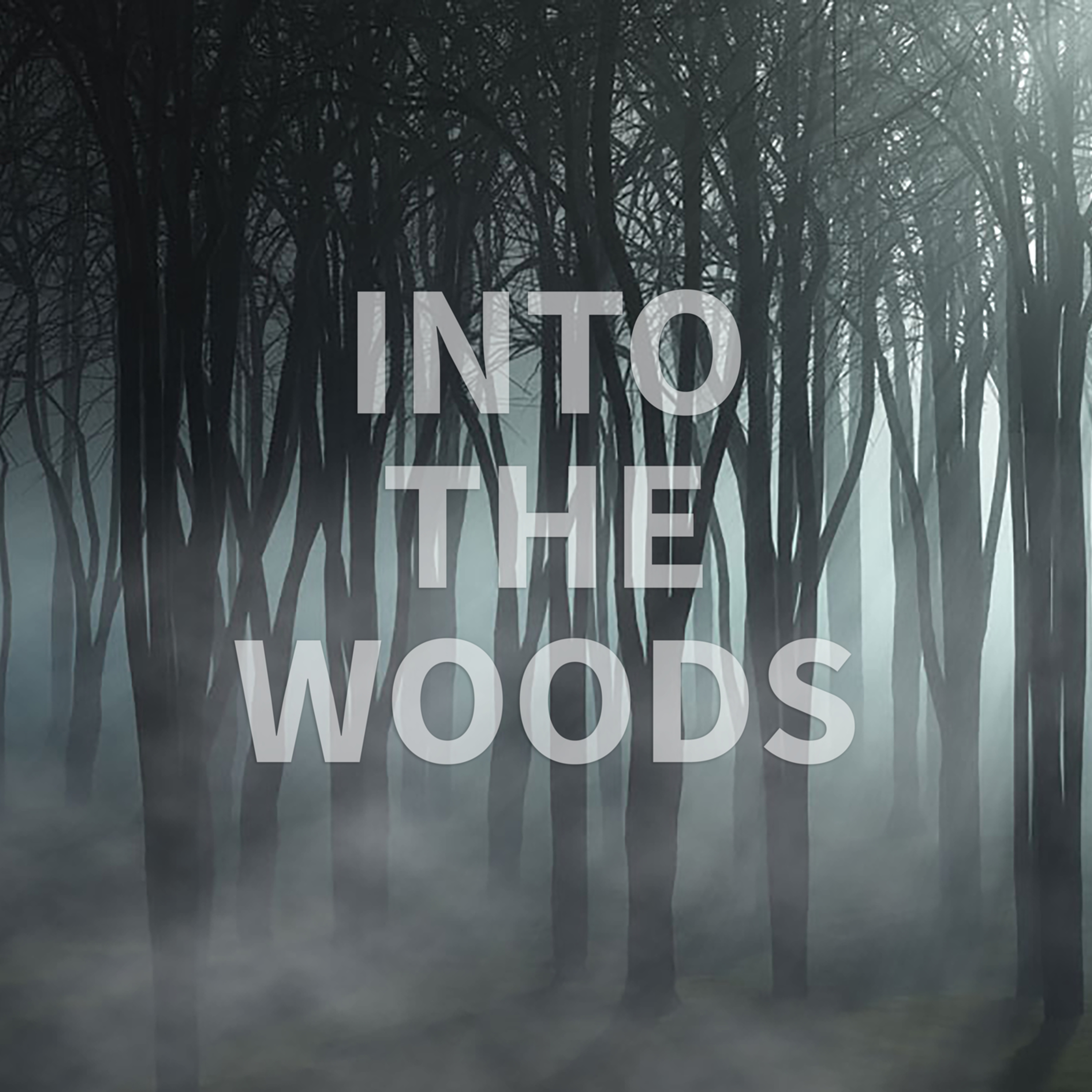 Into the Woods by Harriet, DCIS Year 6