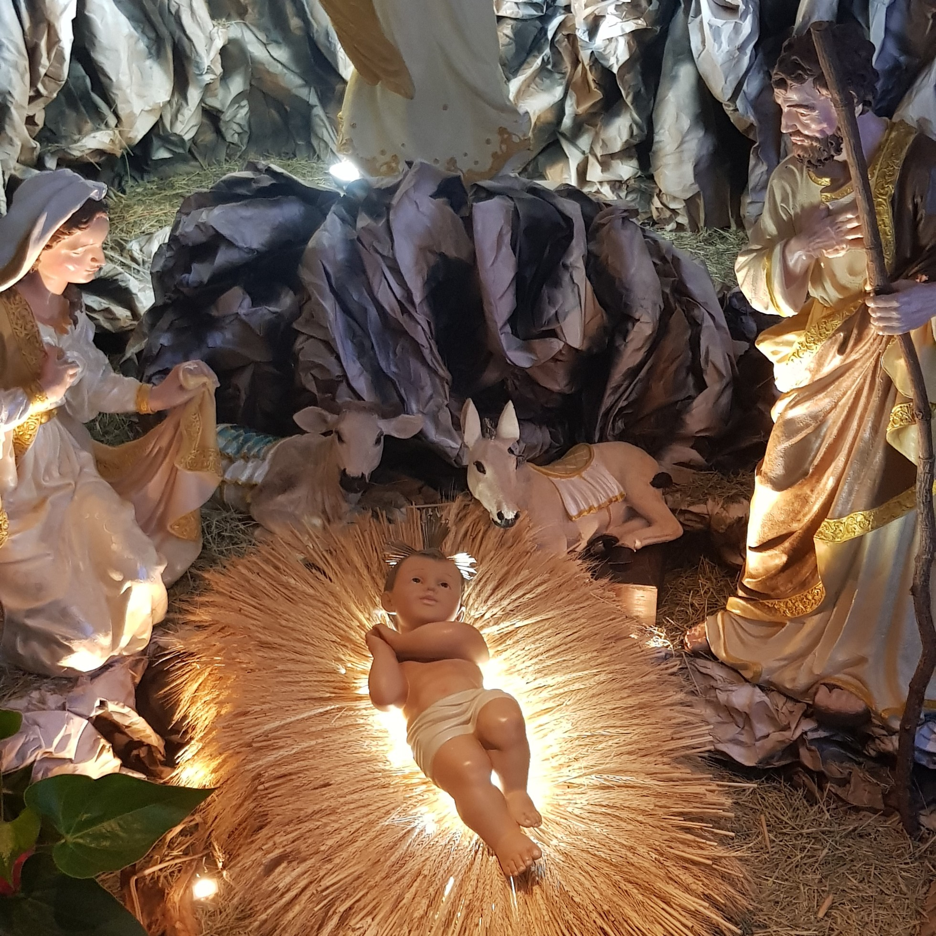 Paróquia São Judas Tadeu Uberlândia