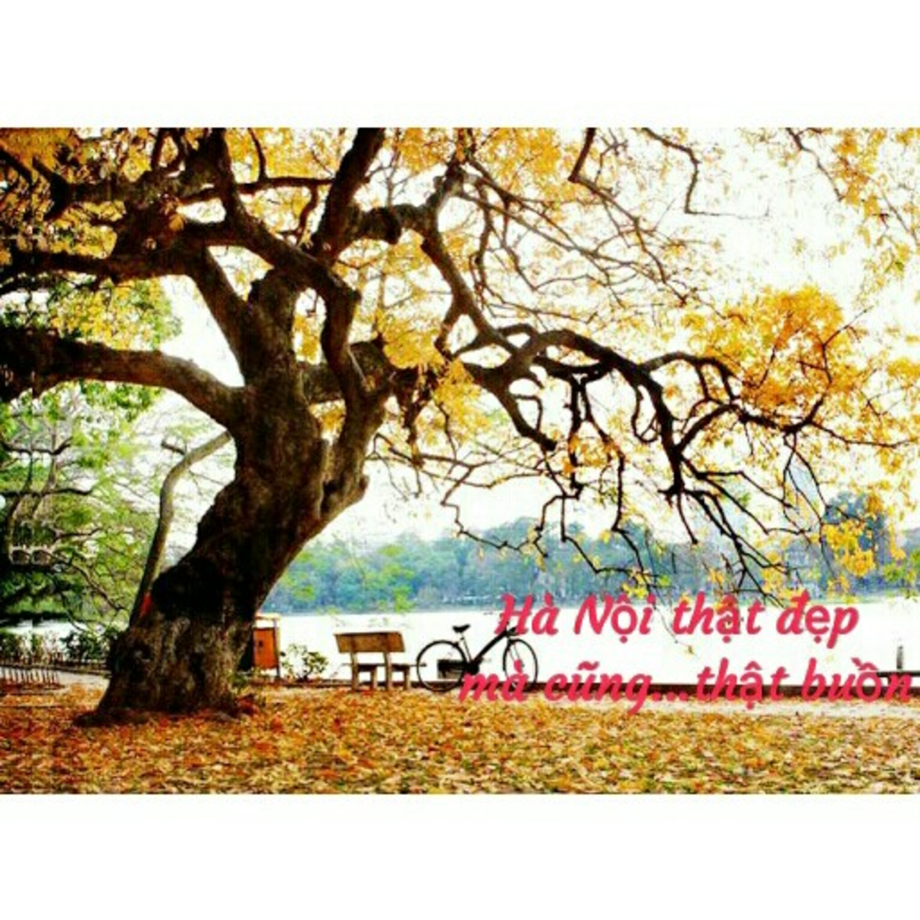 [Ep4] Hà Nội thật đẹp mà cũng thật buồn