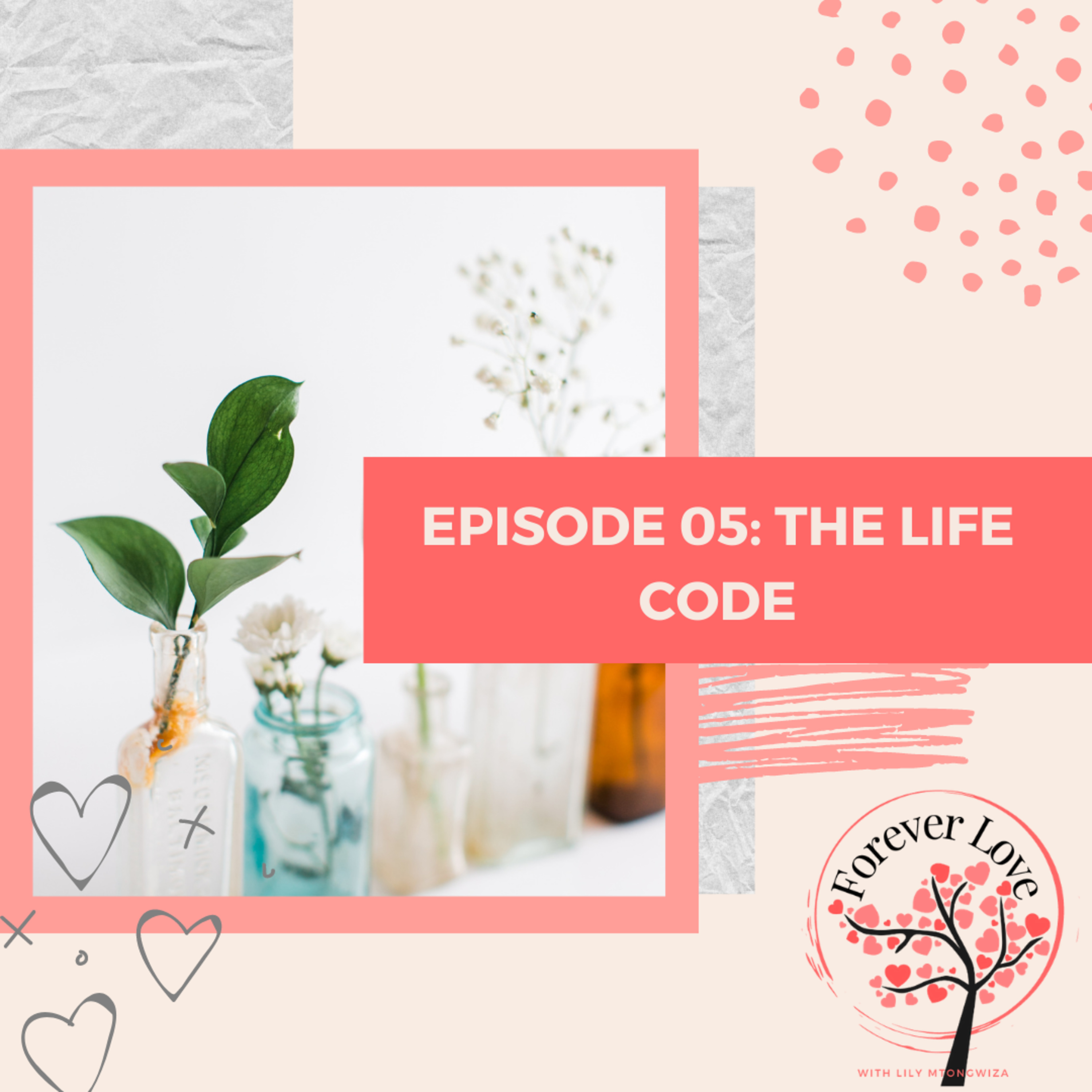 The Life Code  episode artwork
