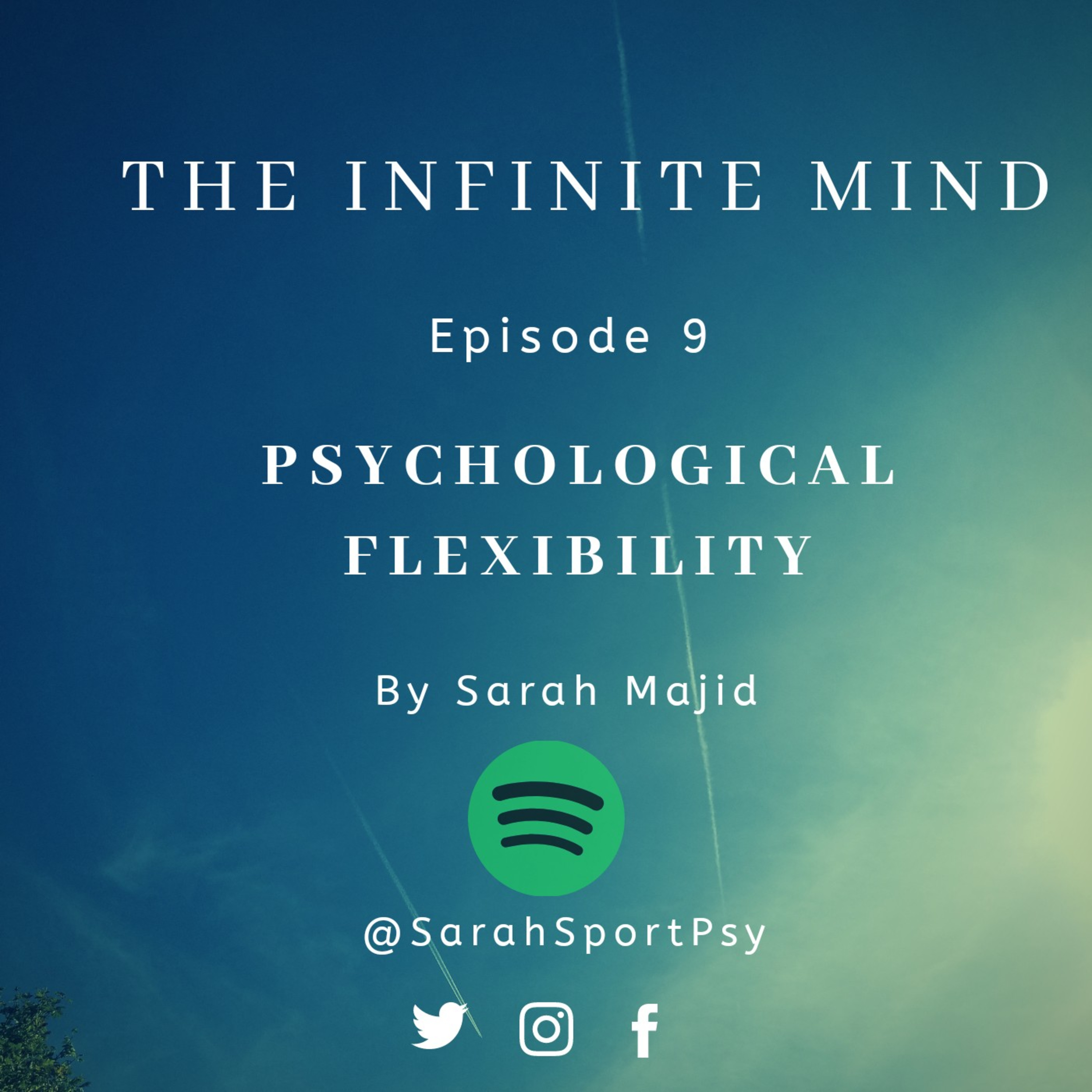 Psychological Flexibility in ACT (Acceptance Commitment Therapy) episode artwork