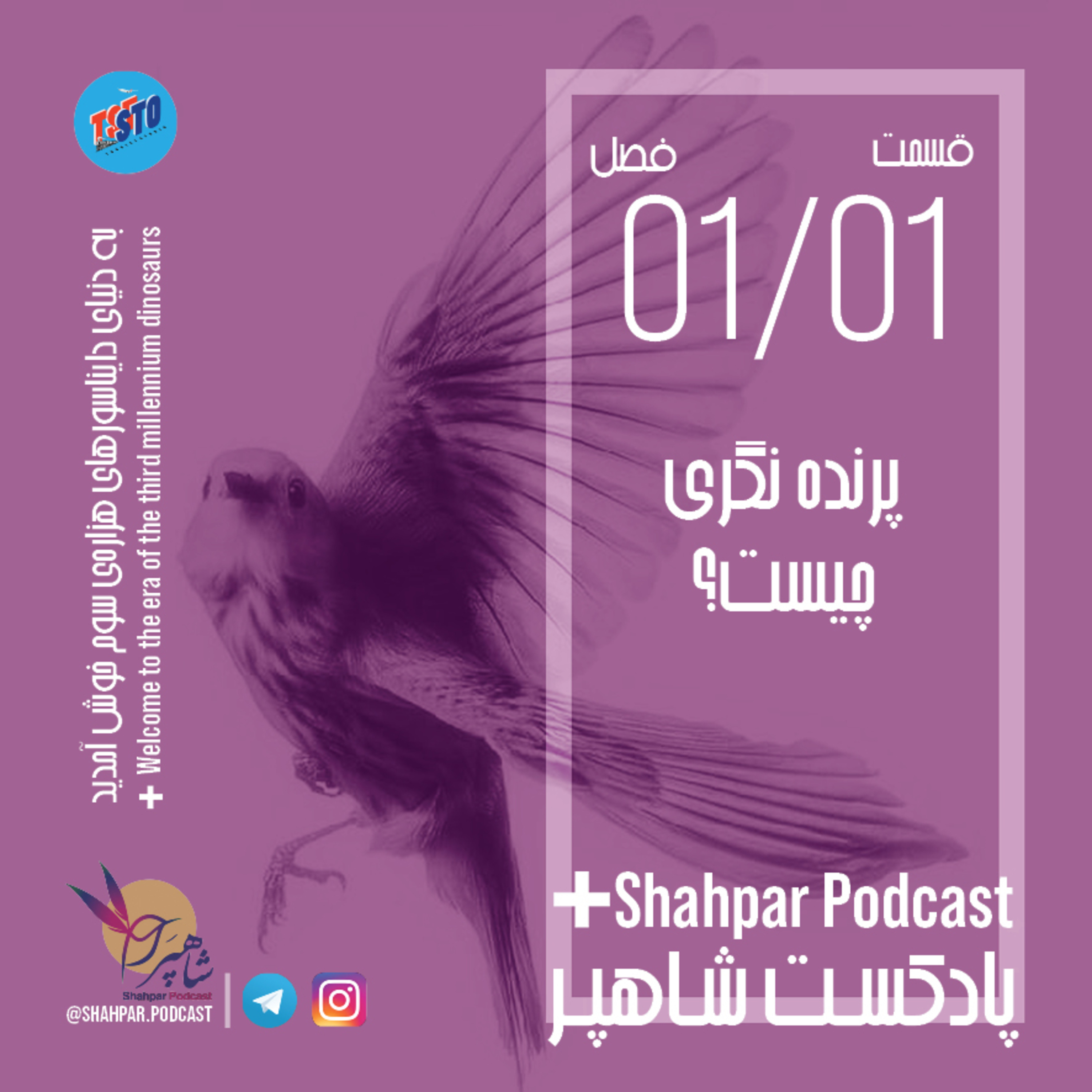پادکست شاهپر - فصل اول - قسمت اول - پرنده‌نگری چیست؟ episode artwork