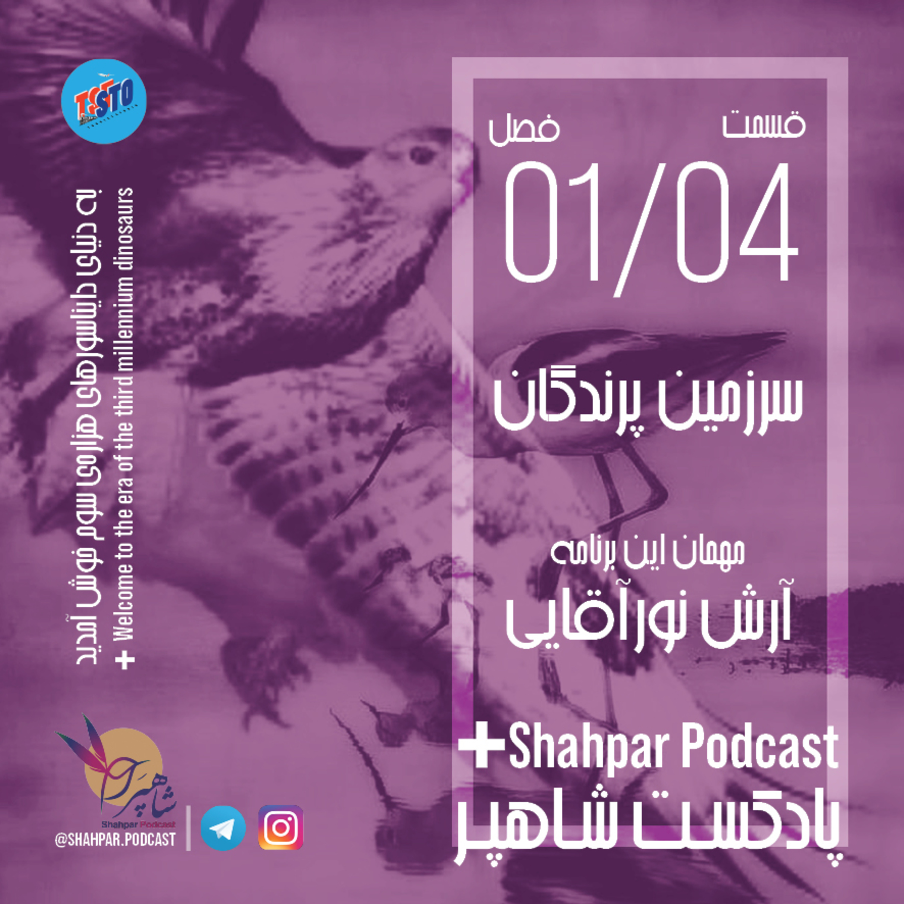 فصل اول - قسمت چهارم - سرزمین پرندگان