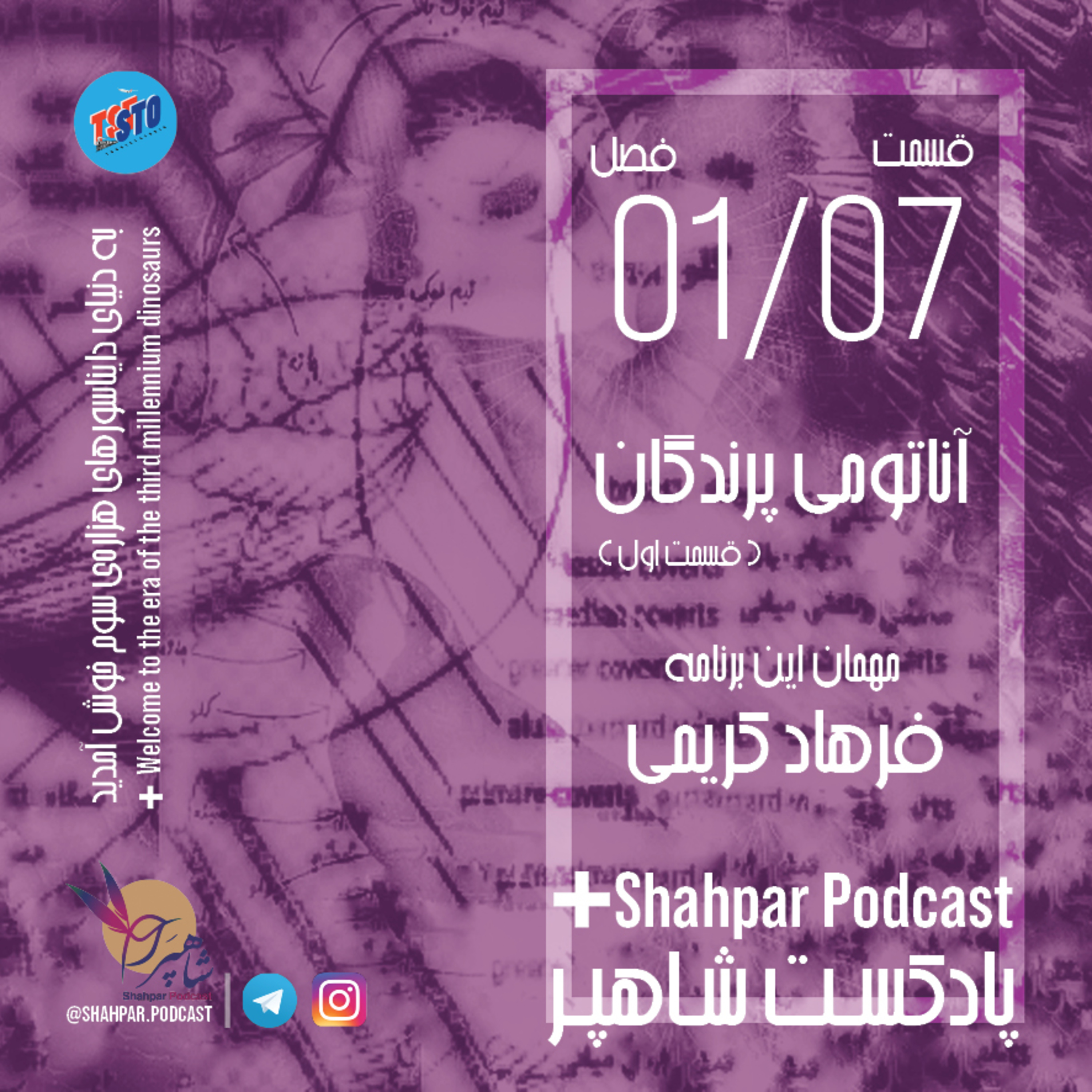 فصل اول - قسمت هفتم - آناتومی پرندگان(بخش اول) episode artwork