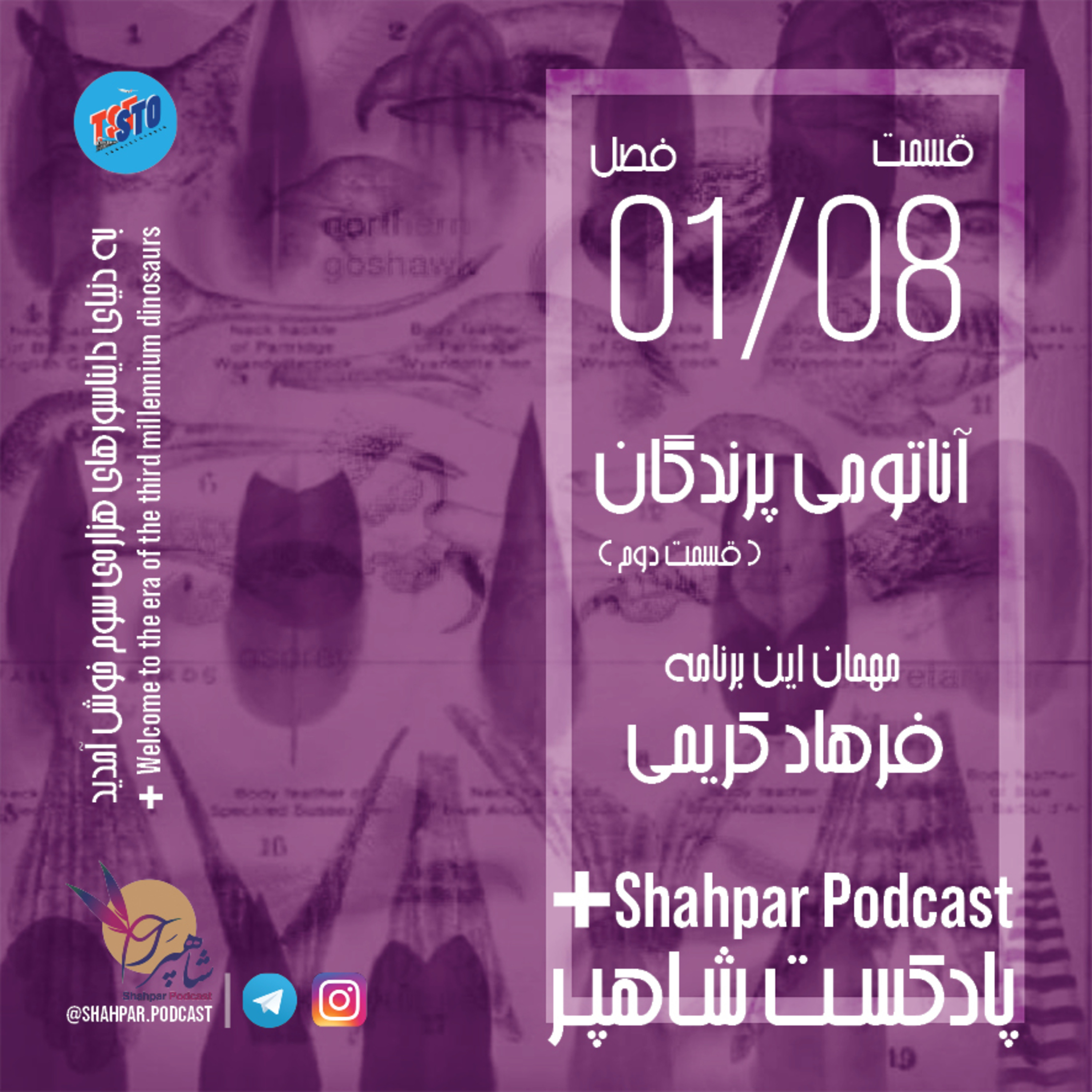 فصل اول - قسمت هشتم -آناتومی پرندگان(بخش دوم) episode artwork
