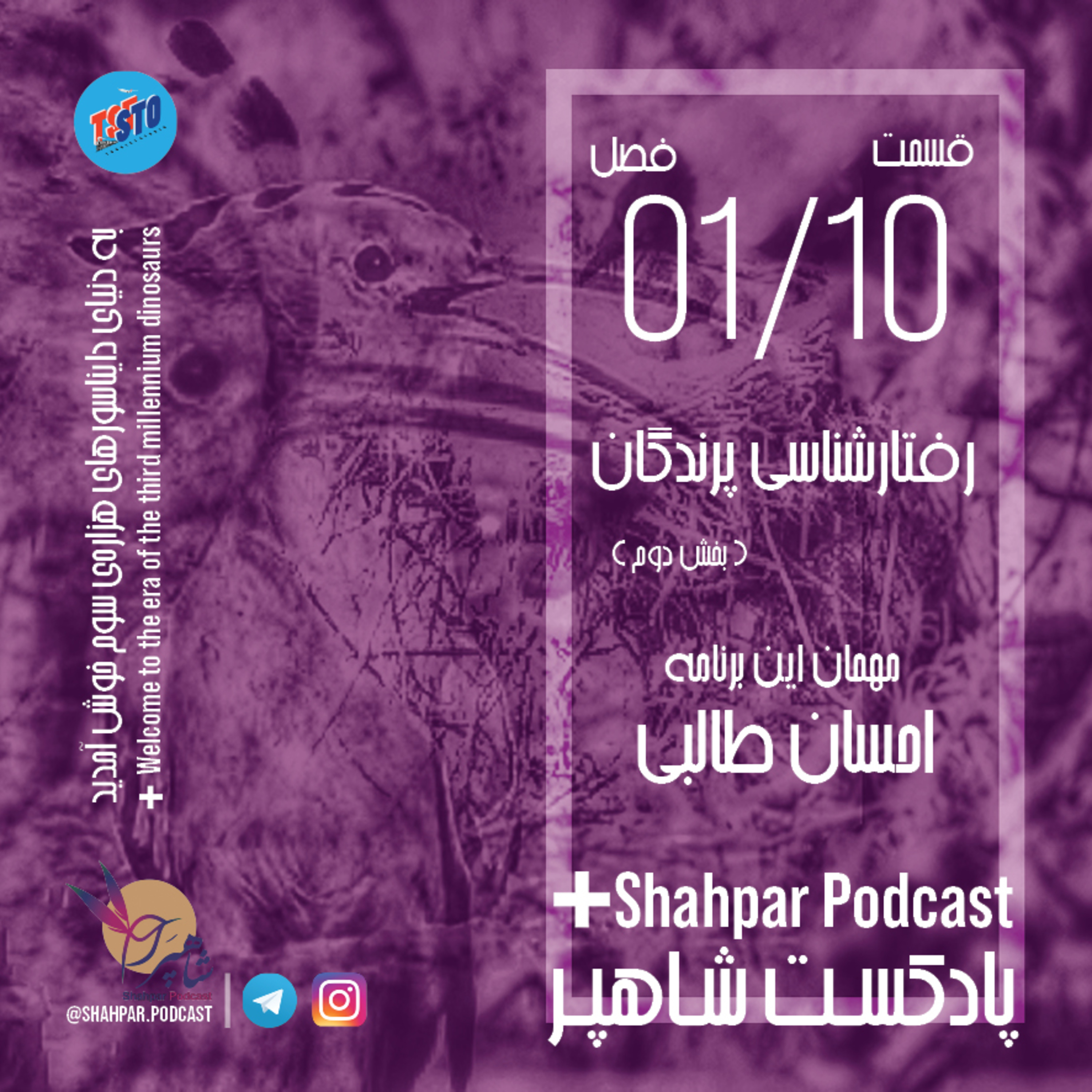 فصل اول - قسمت دهم - رفتارشناسی پرندگان(بخش دوم) episode artwork