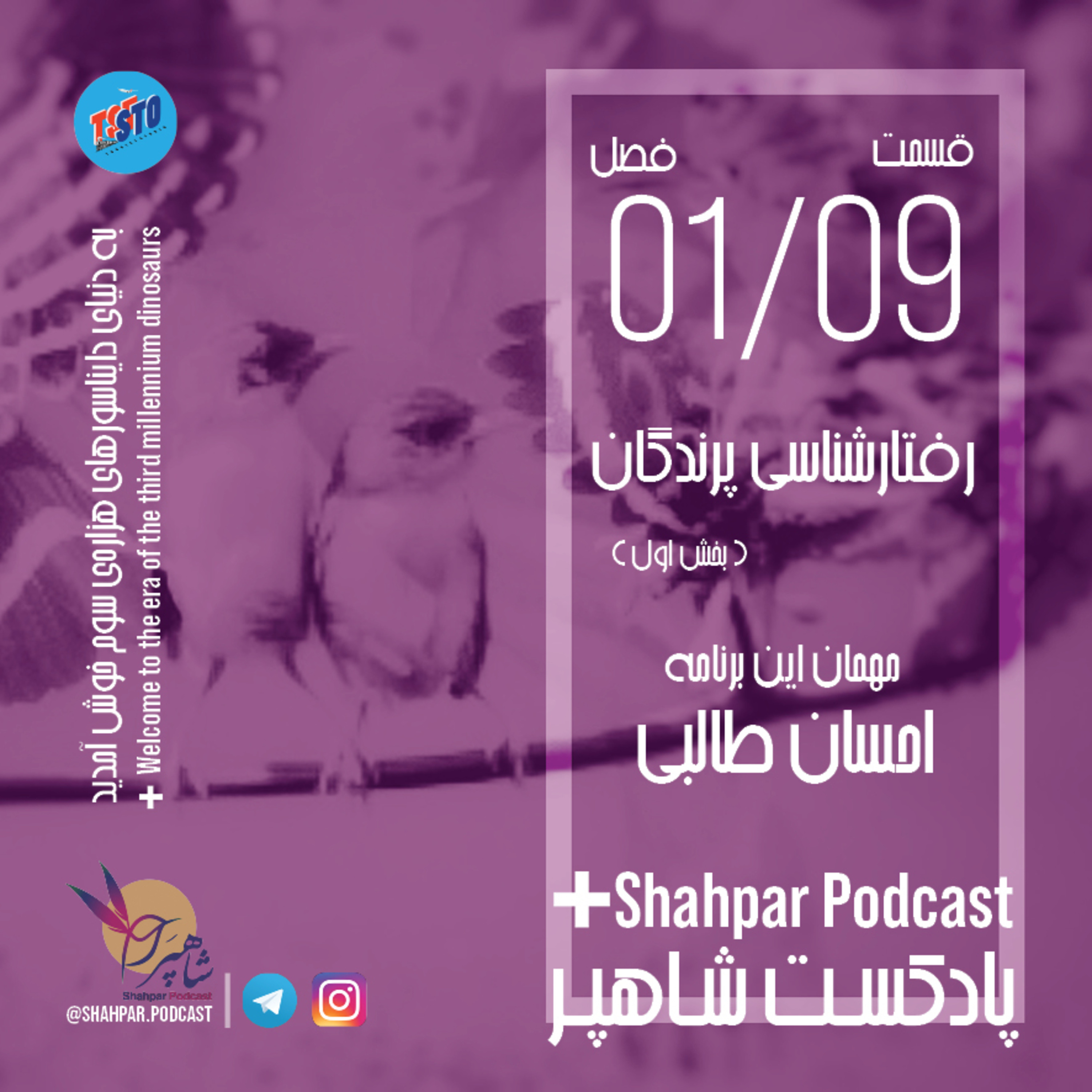 فصل اول - قسمت نهم - رفتارشناسی پرندگان(بخش اول) episode artwork