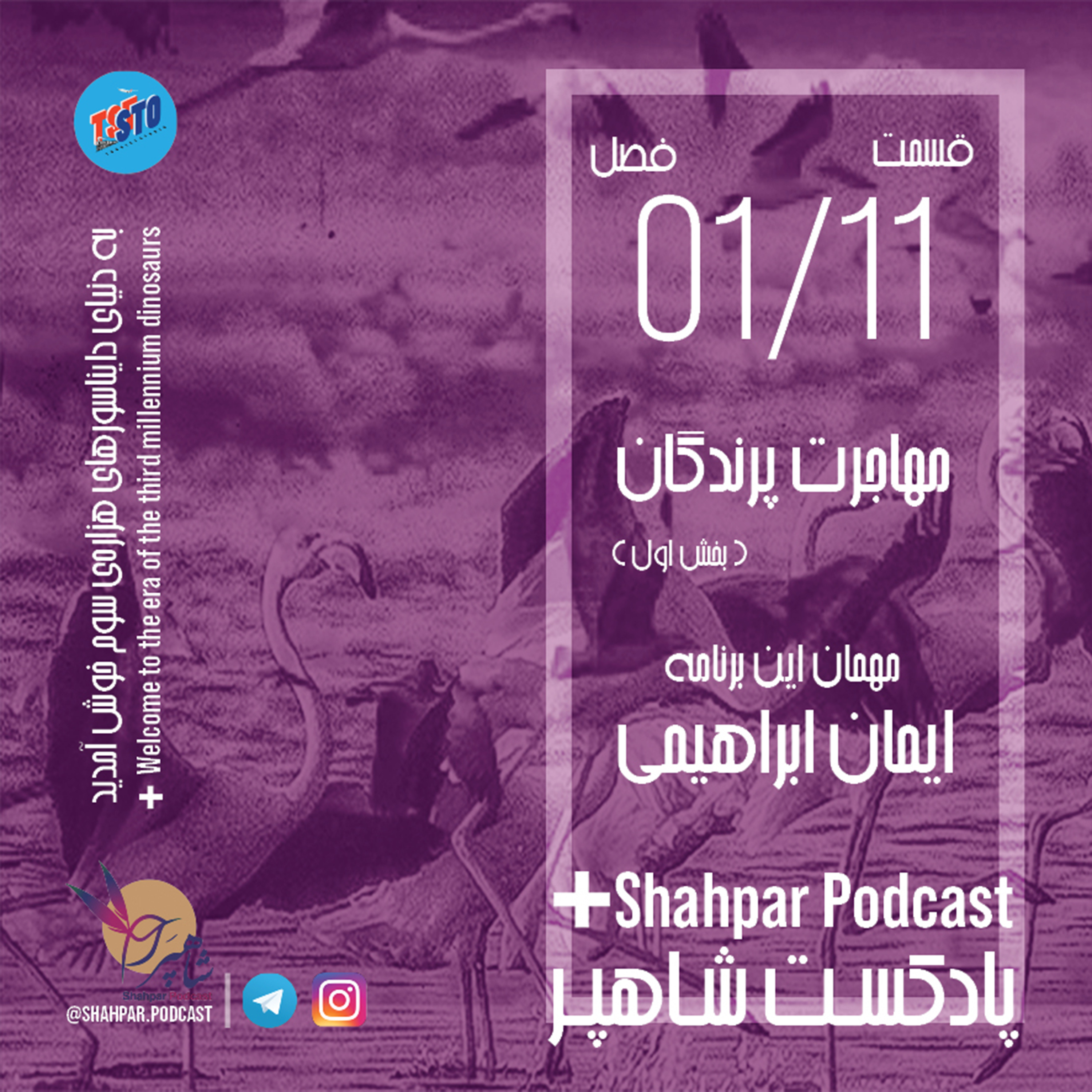 فصل اول- قسمت یازدهم-مهاجرت پرندگان(بخش اول) episode artwork
