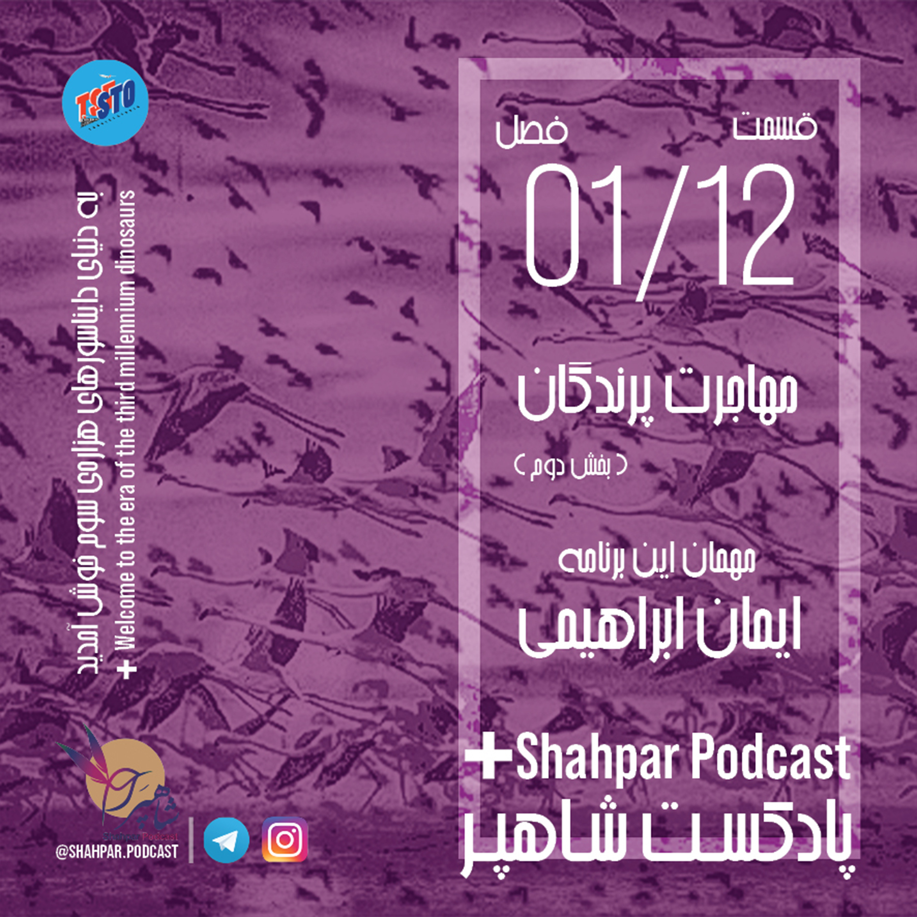 فصل اول- قسمت دوازدهم-مهاجرت پرندگان(بخش دوم) episode artwork