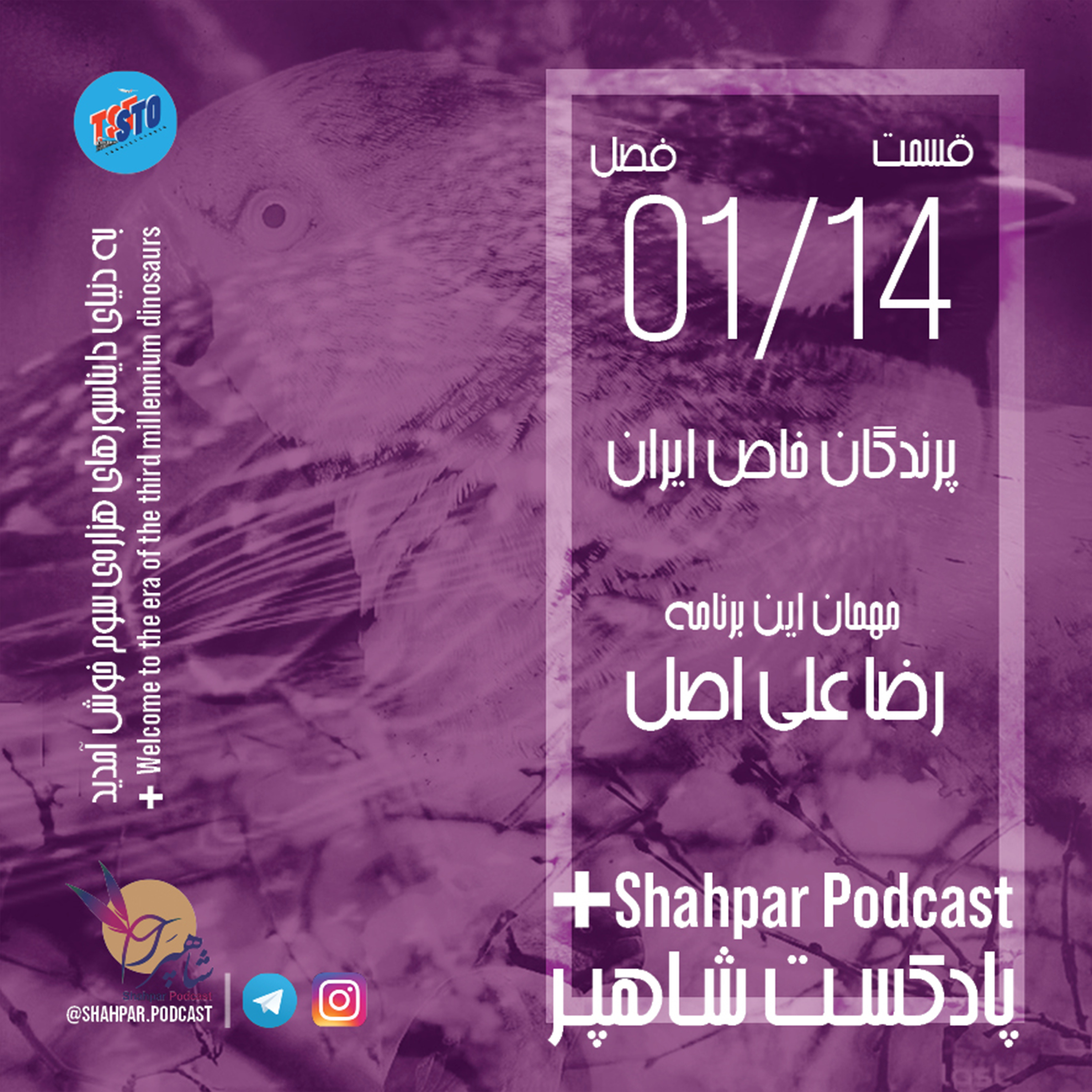 فصل اول - قسمت چهاردهم - پرندگان خاص ایران episode artwork