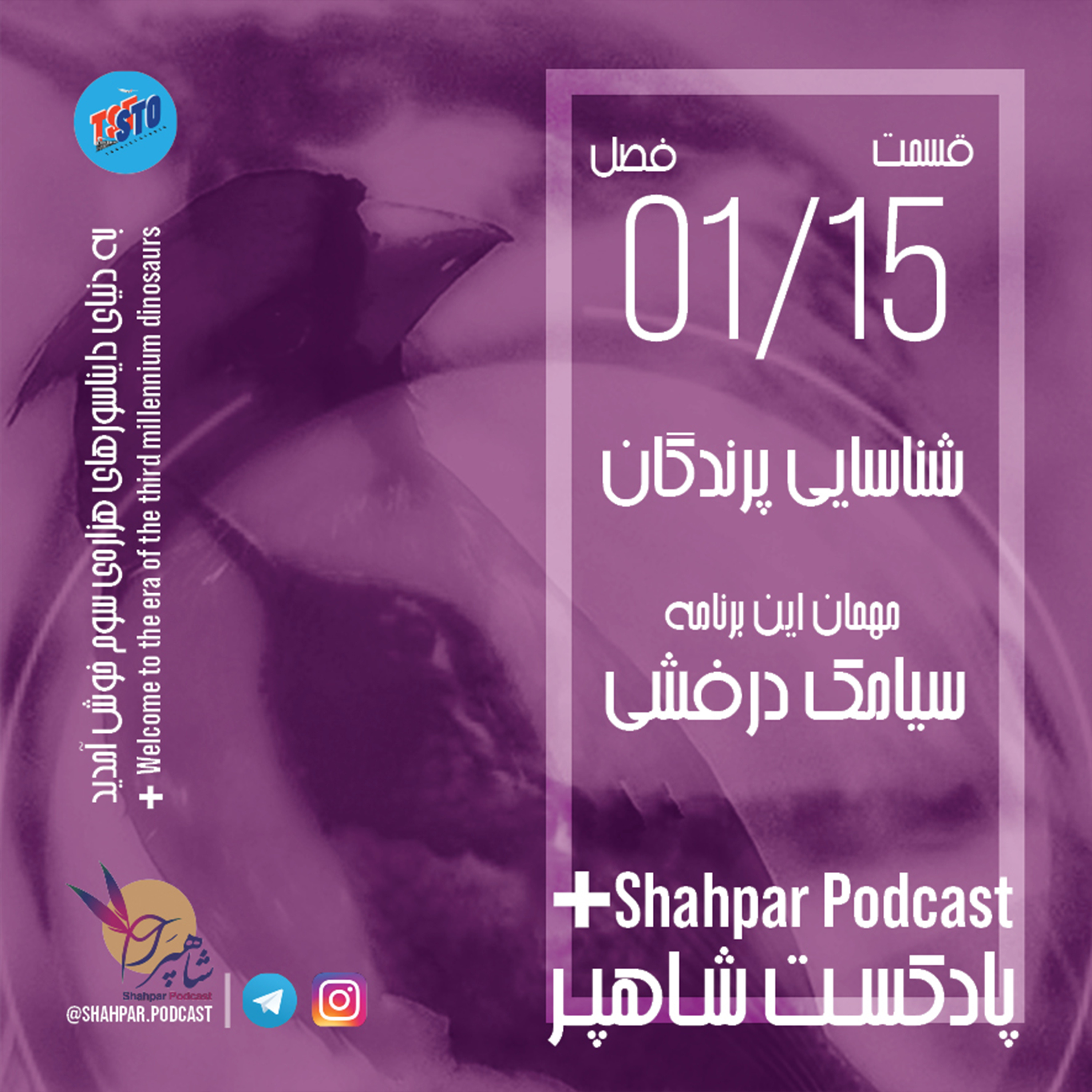 فصل اول - قسمت پانزدهم - شناسایی پرندگان episode artwork