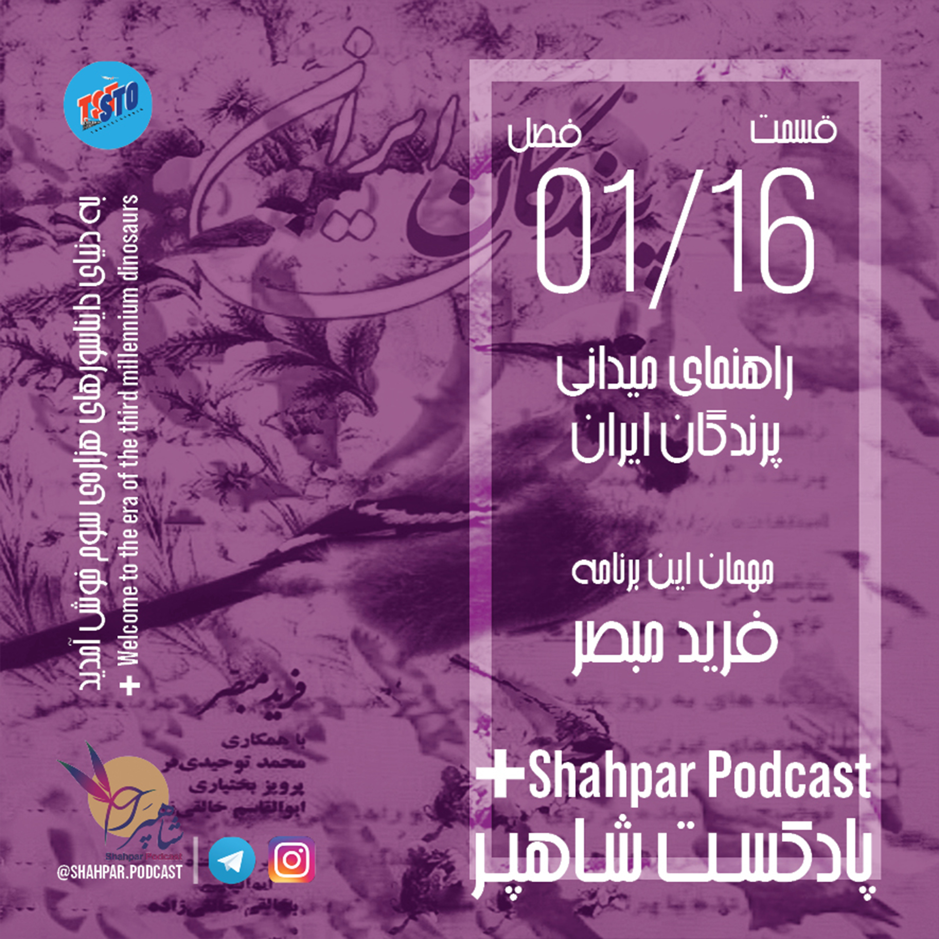 فصل اول - قسمت شانزدهم - راهنمای میدانی پرندگان ایران episode artwork