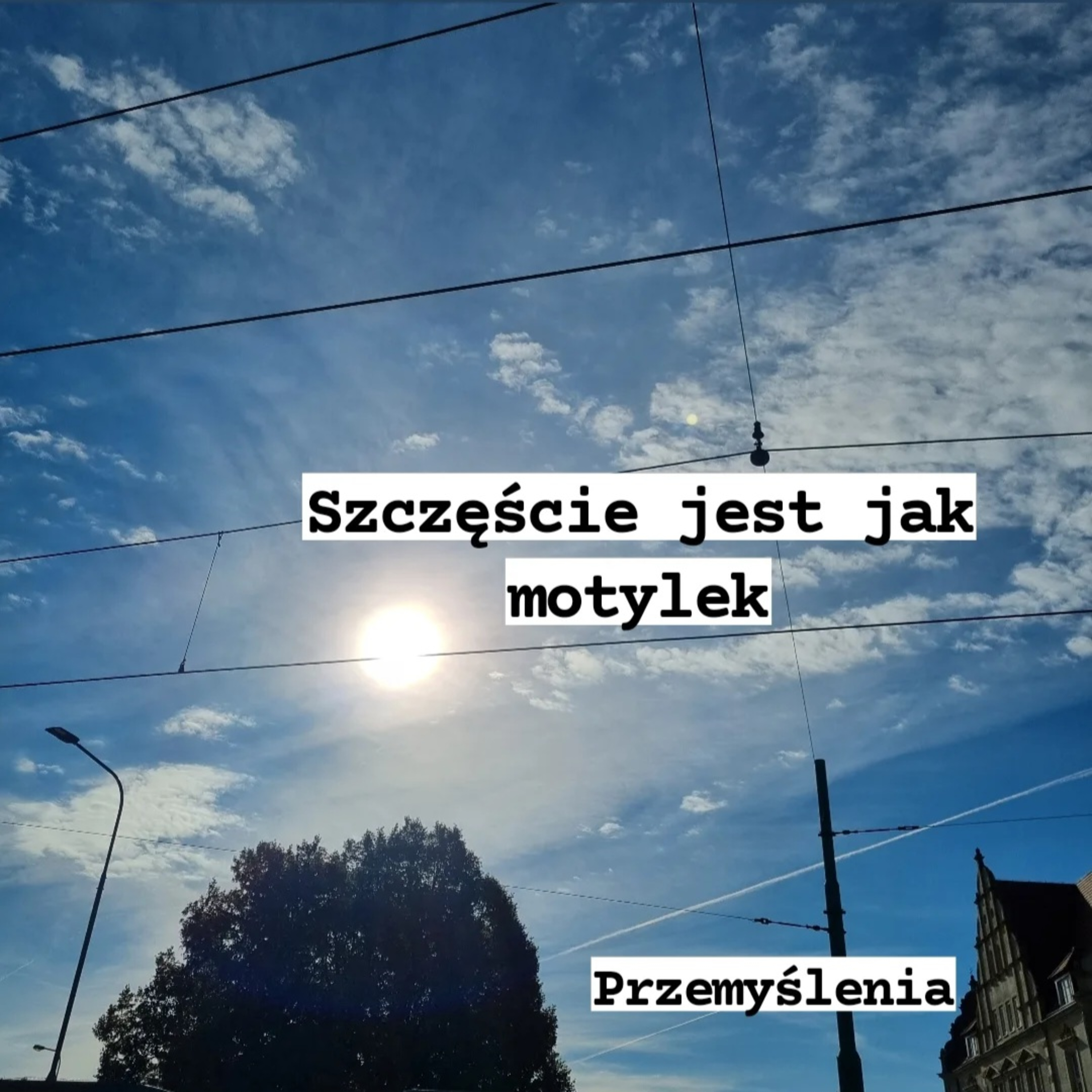 O Wszystkim i O Niczym