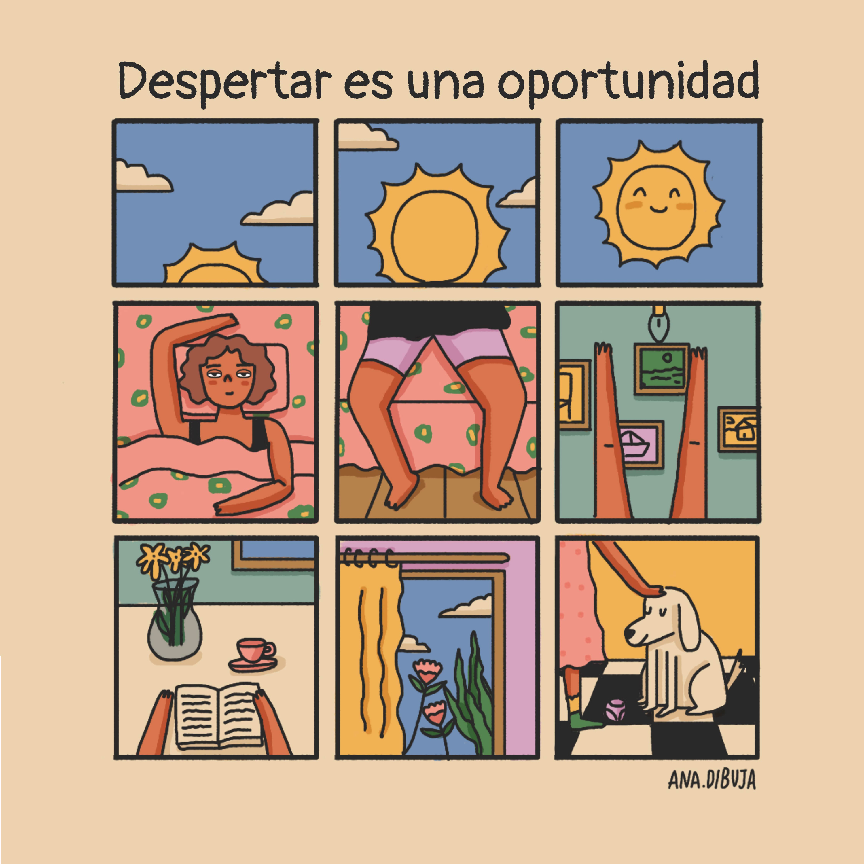 LA DIVULGATA
