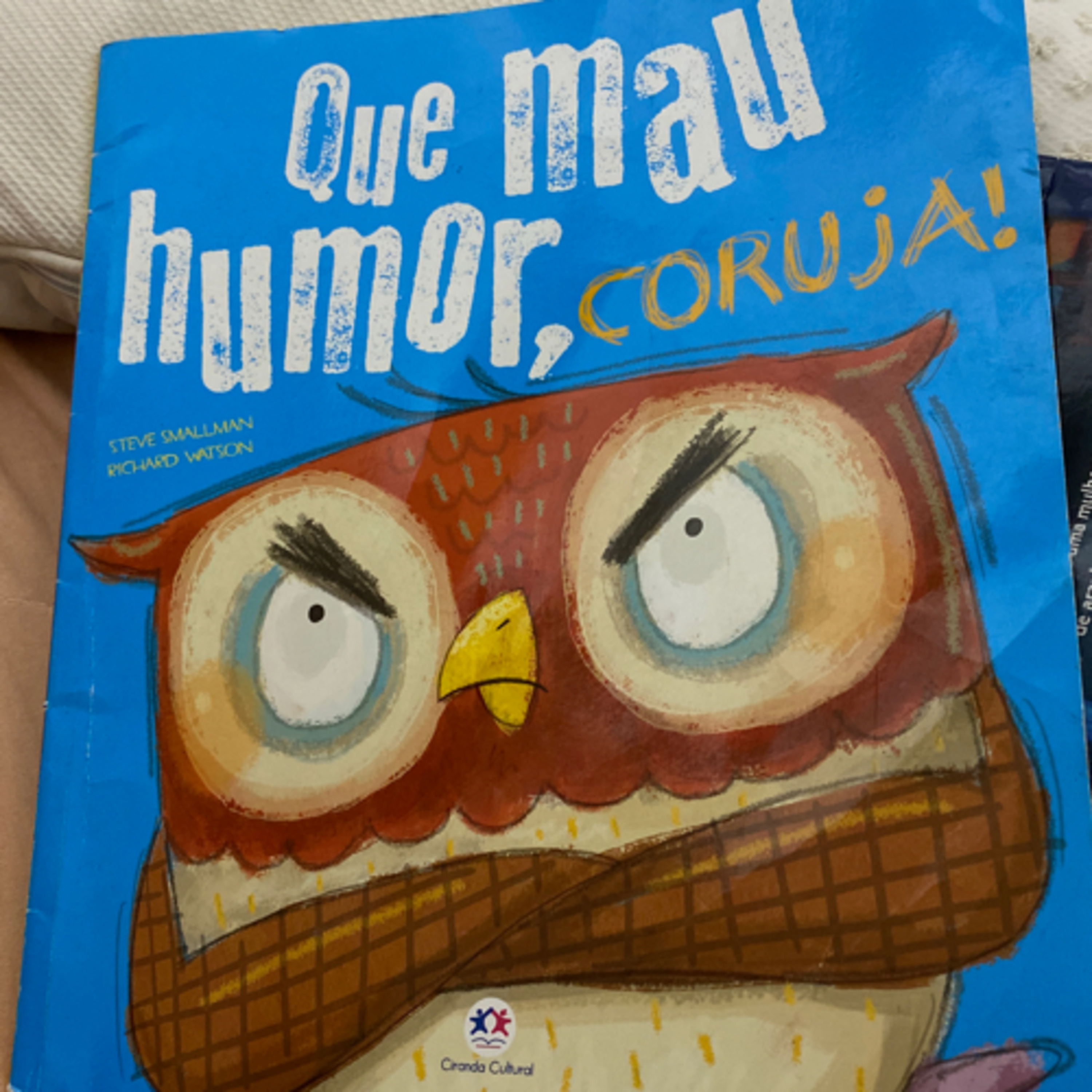 QUE MAU HUMOR CORUJA