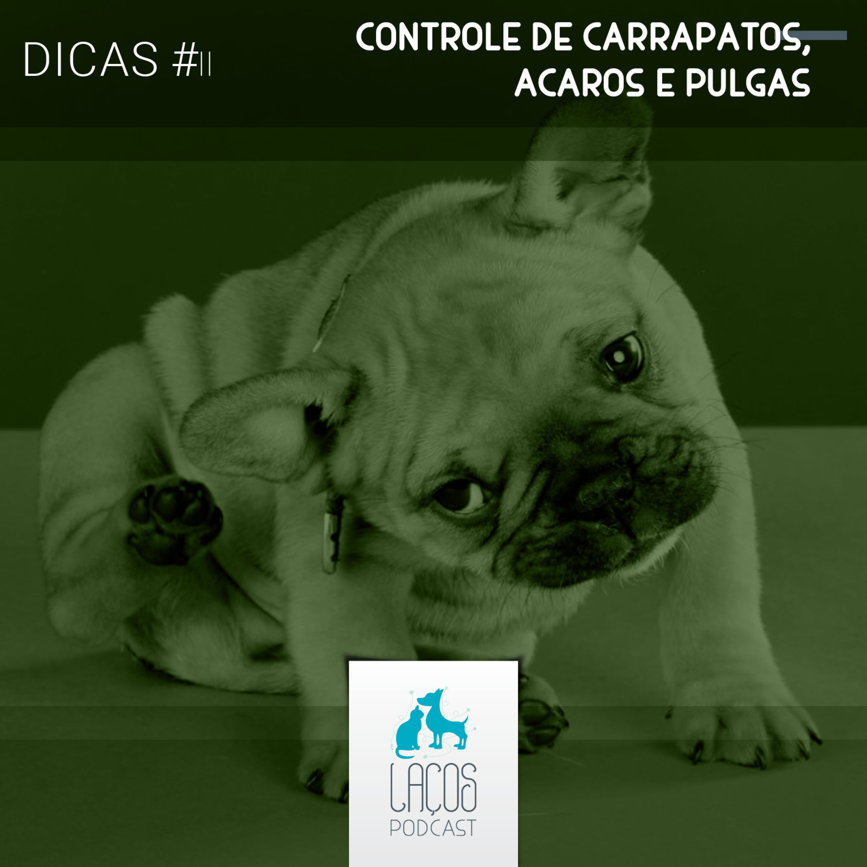 Laços Podcast