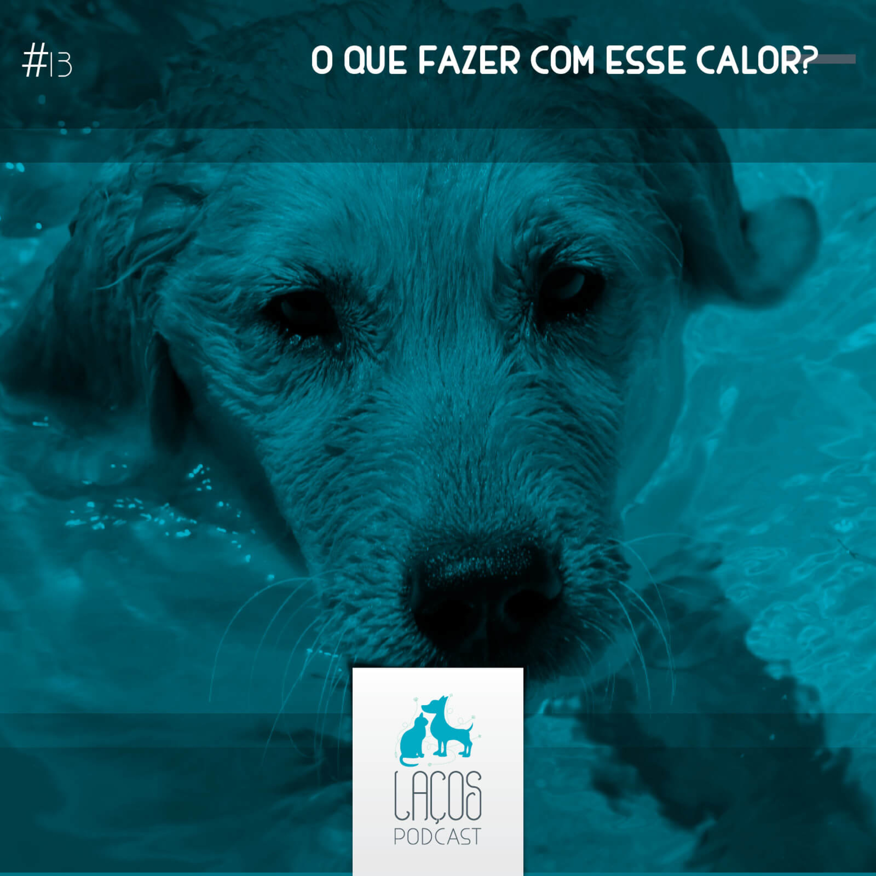 Laços Podcast