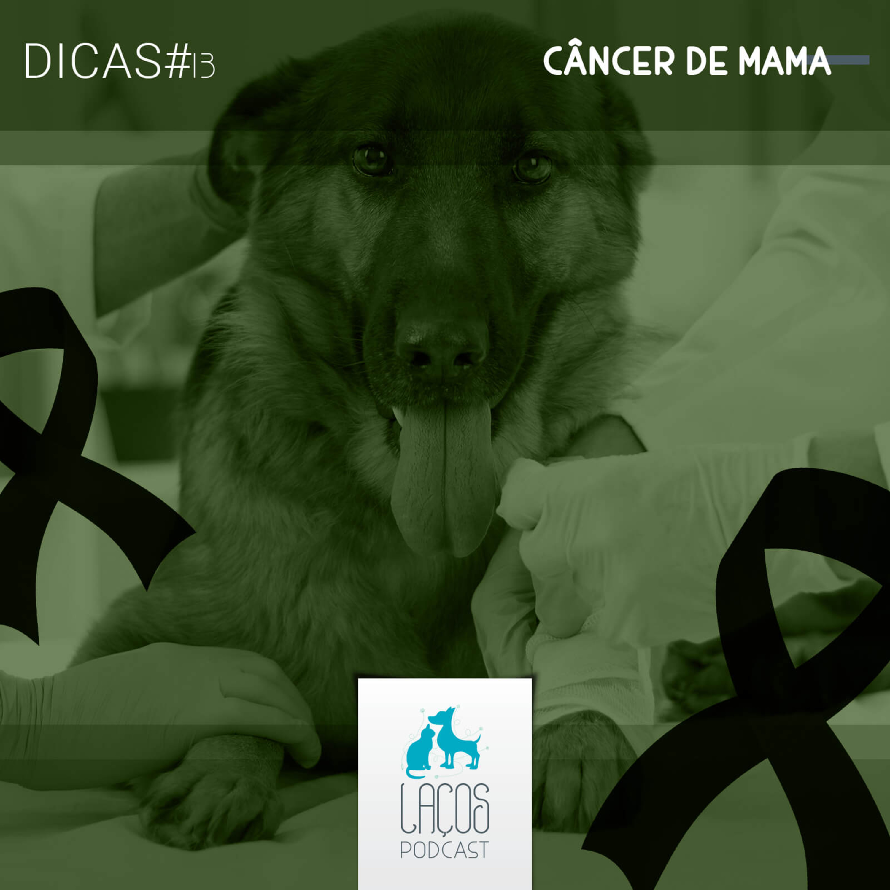 Laços Podcast