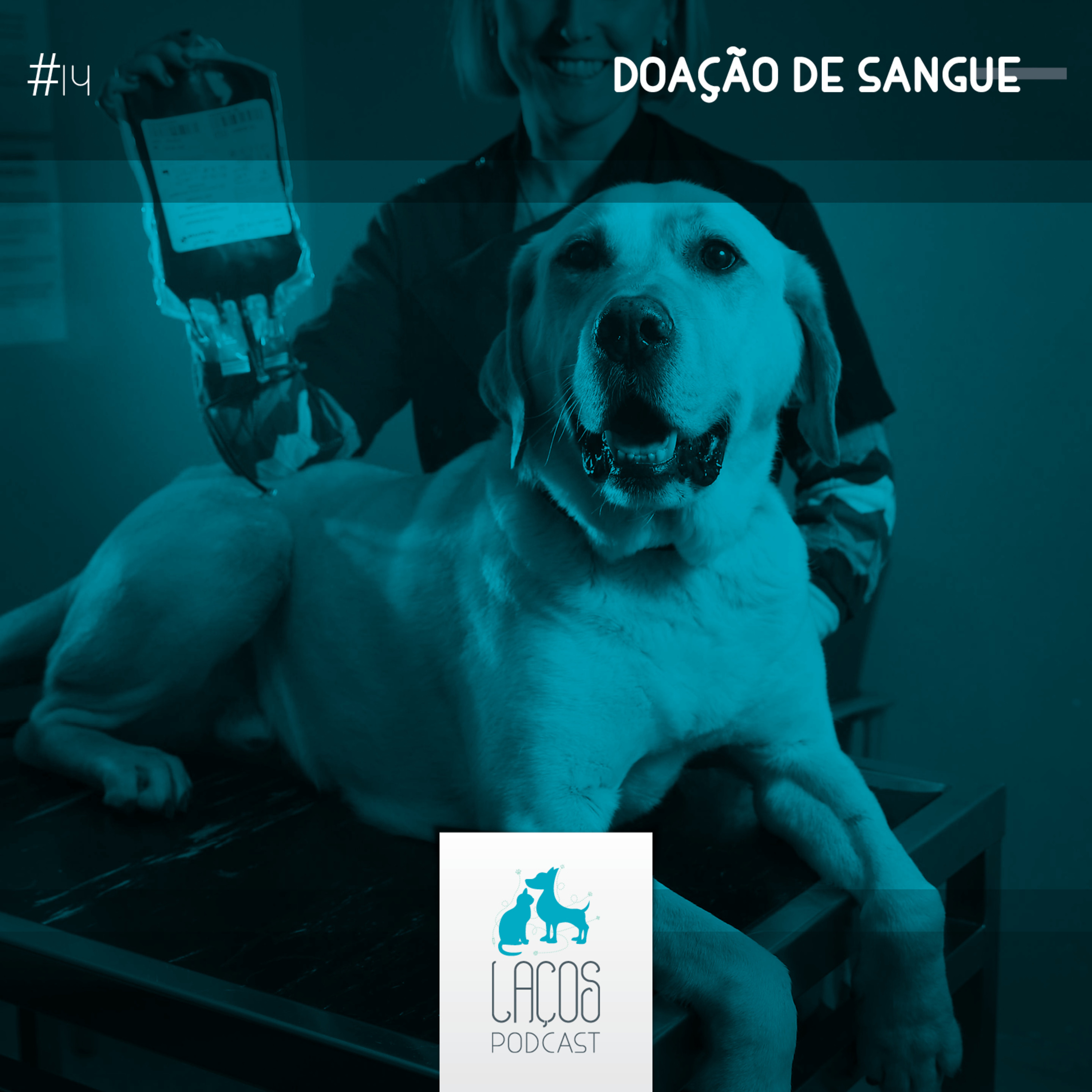 Laços Podcast