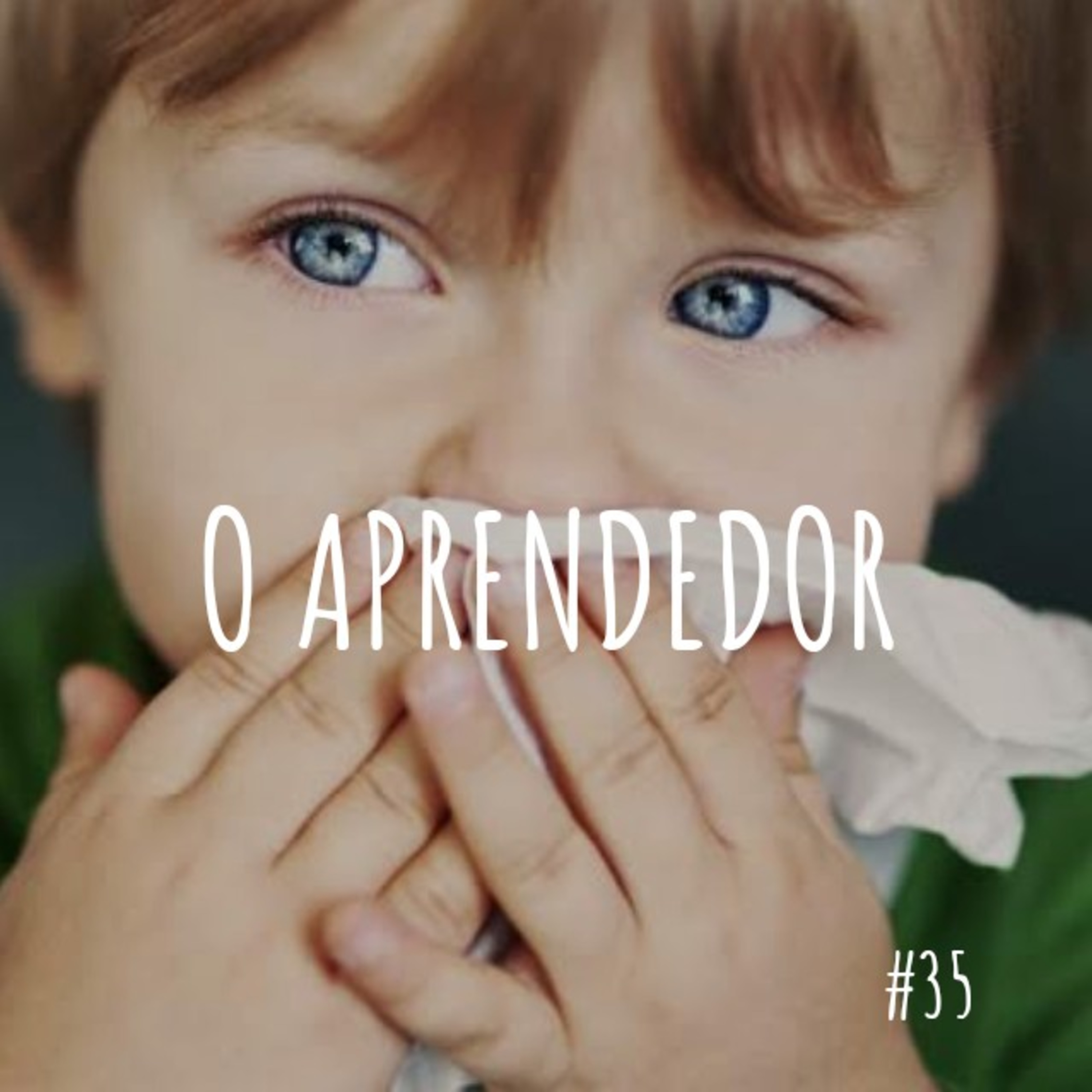 o aprendedor