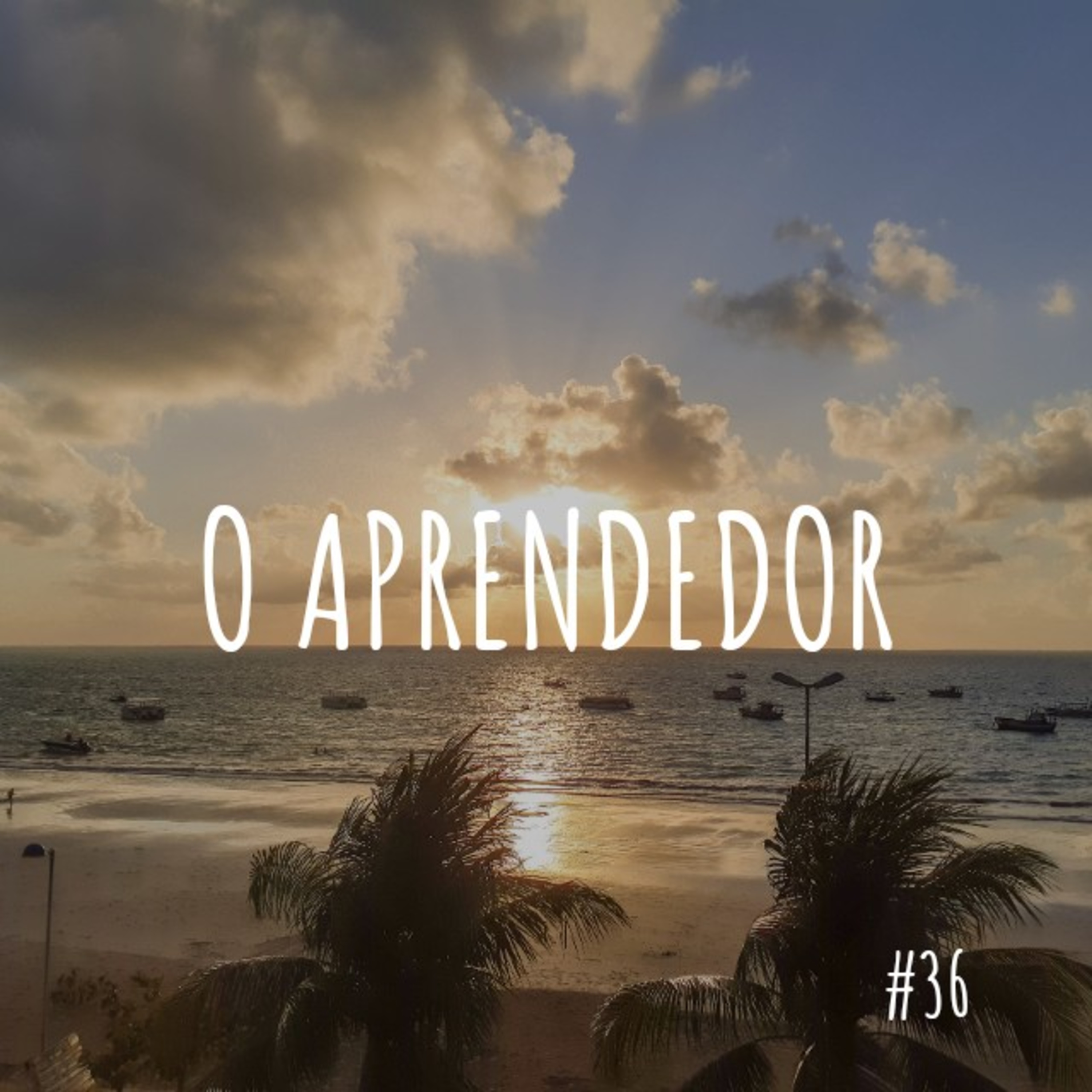o aprendedor
