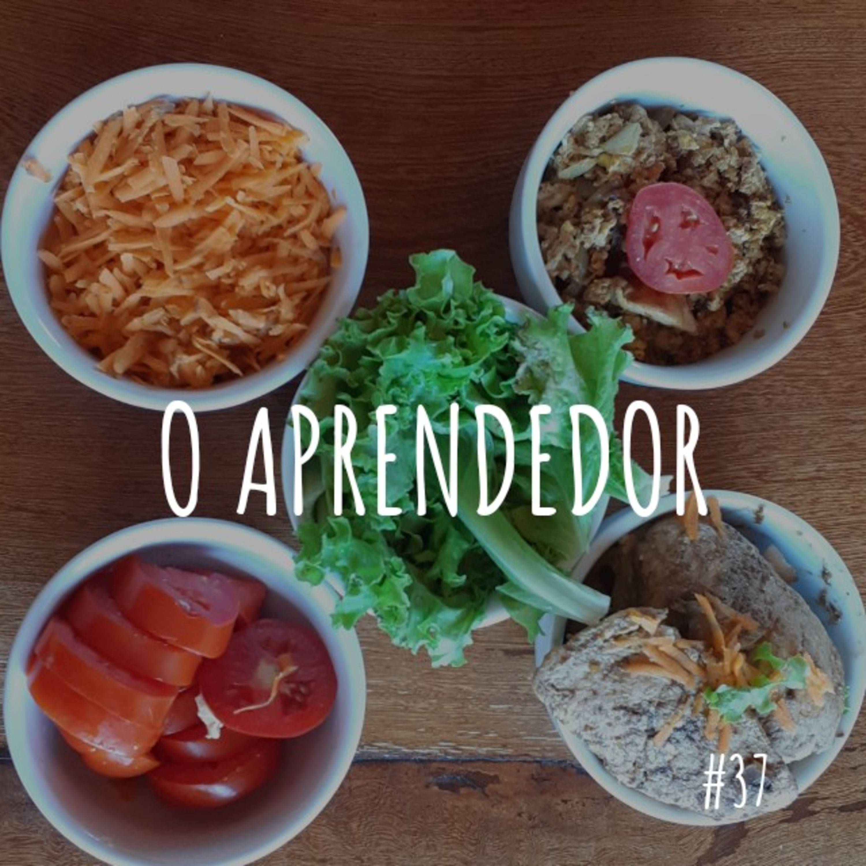 o aprendedor