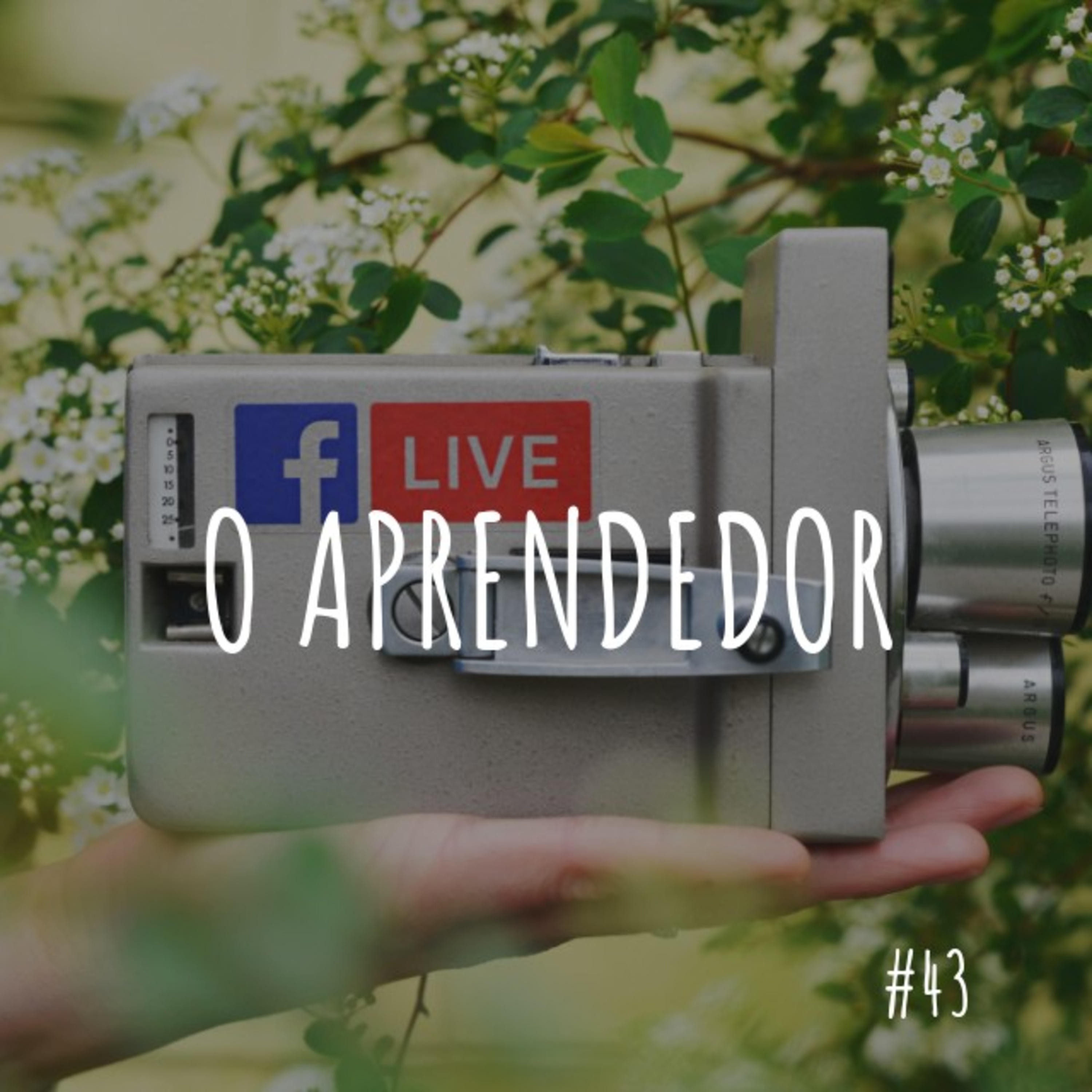 o aprendedor