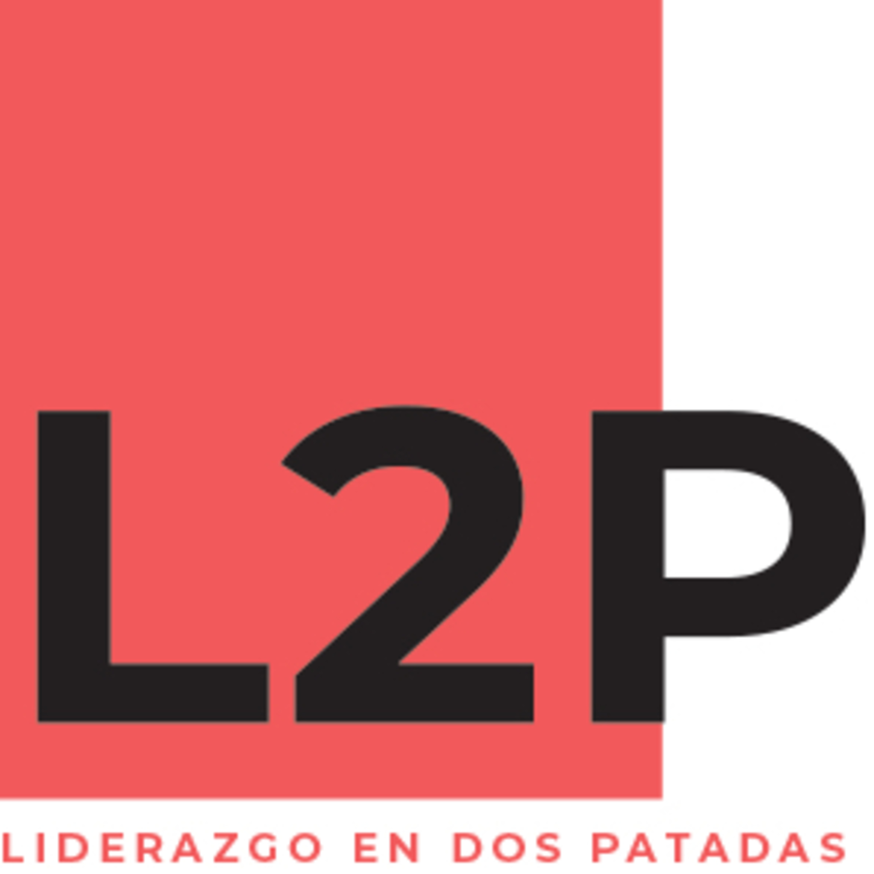 Liderazgo en dos Patadas .