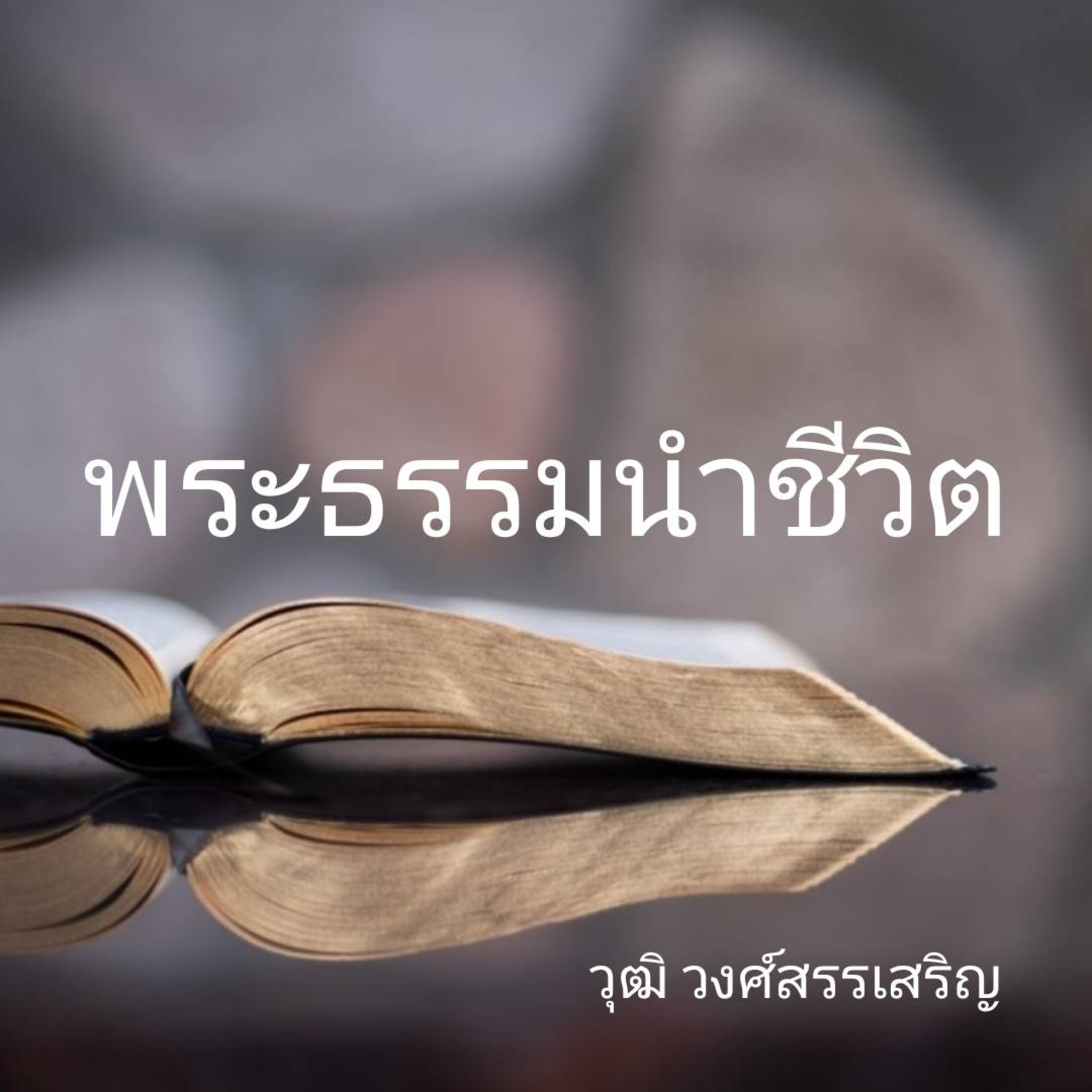 ใครตีราคาชีวิตเรา