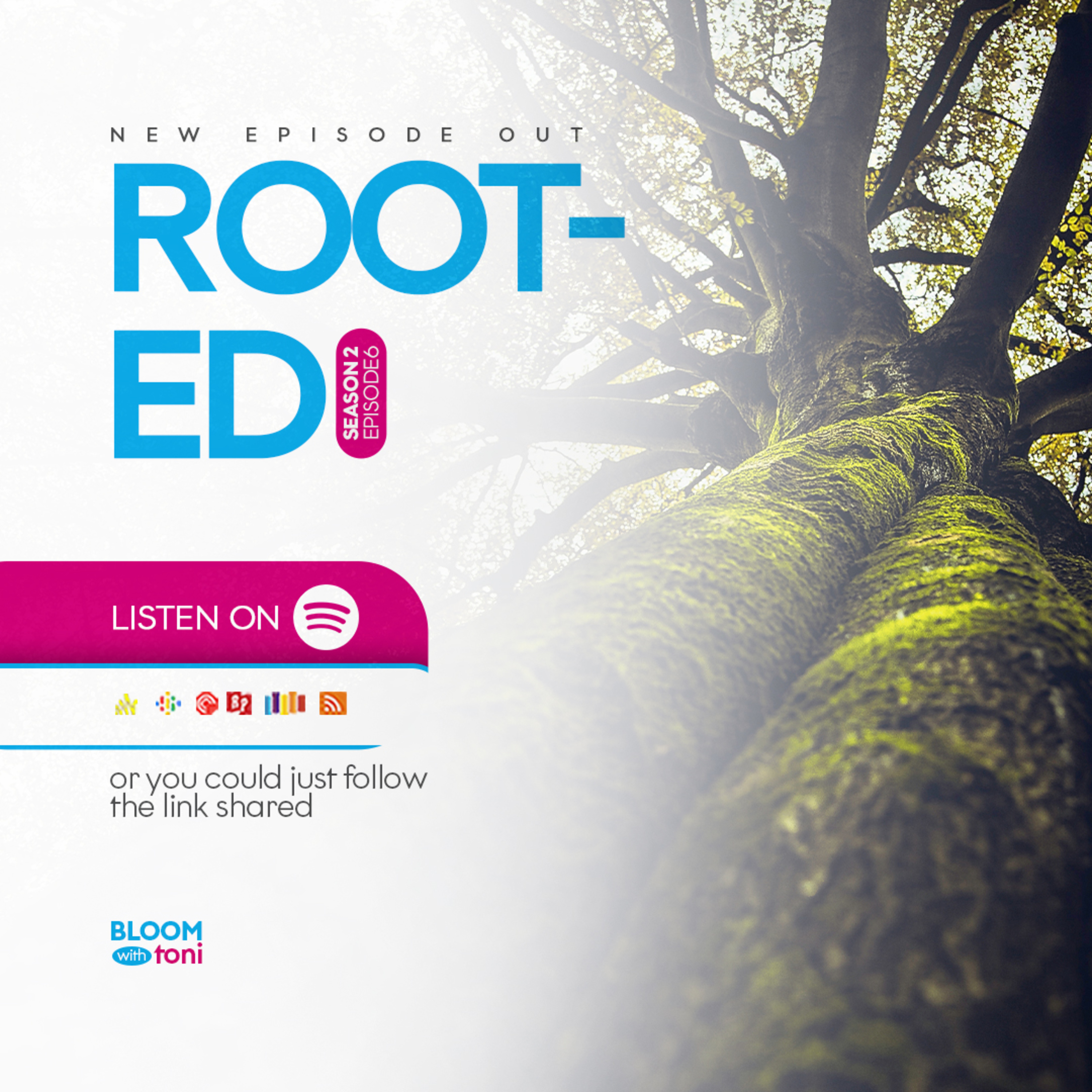 Rooted episode artwork