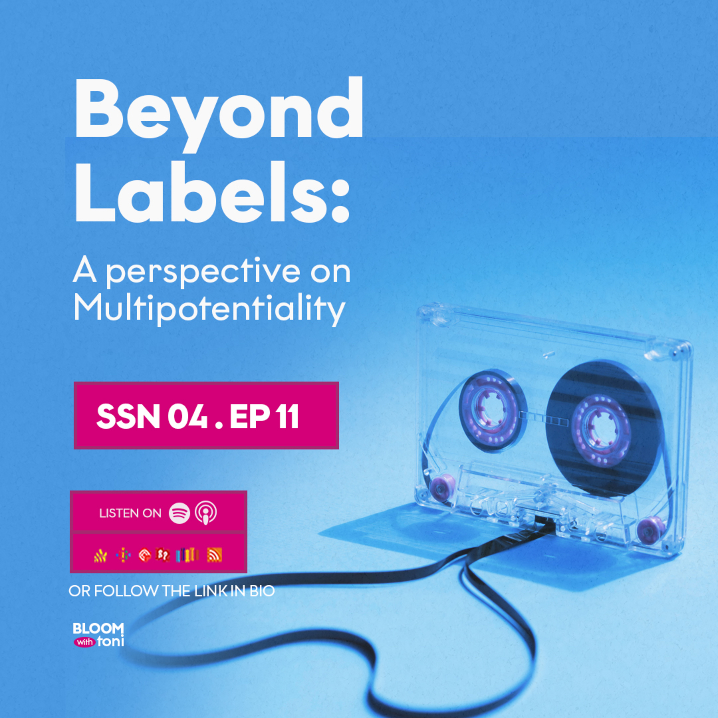 Beyond Labels: A perspective on Multipotentiality episode artwork