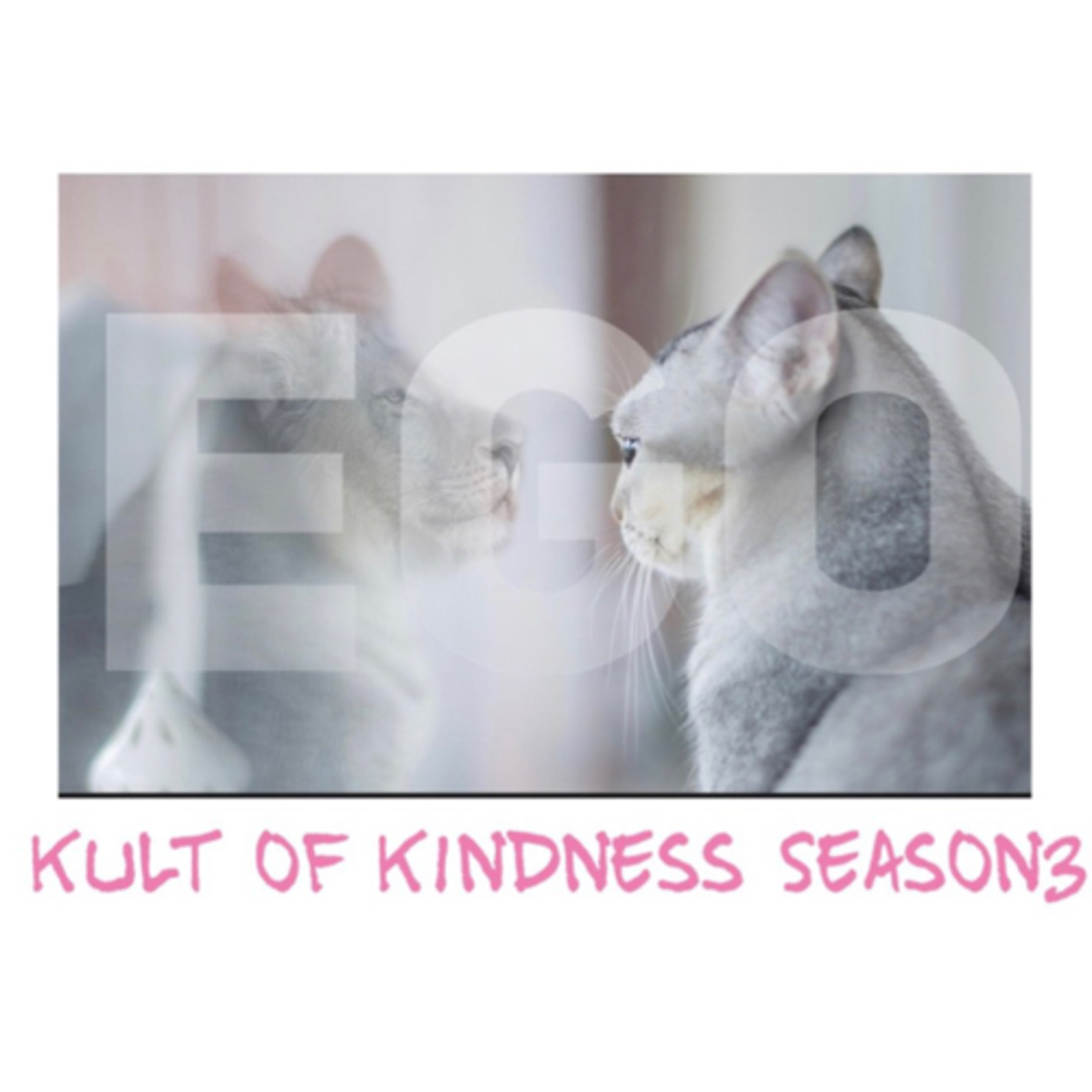 Kult of Kindness