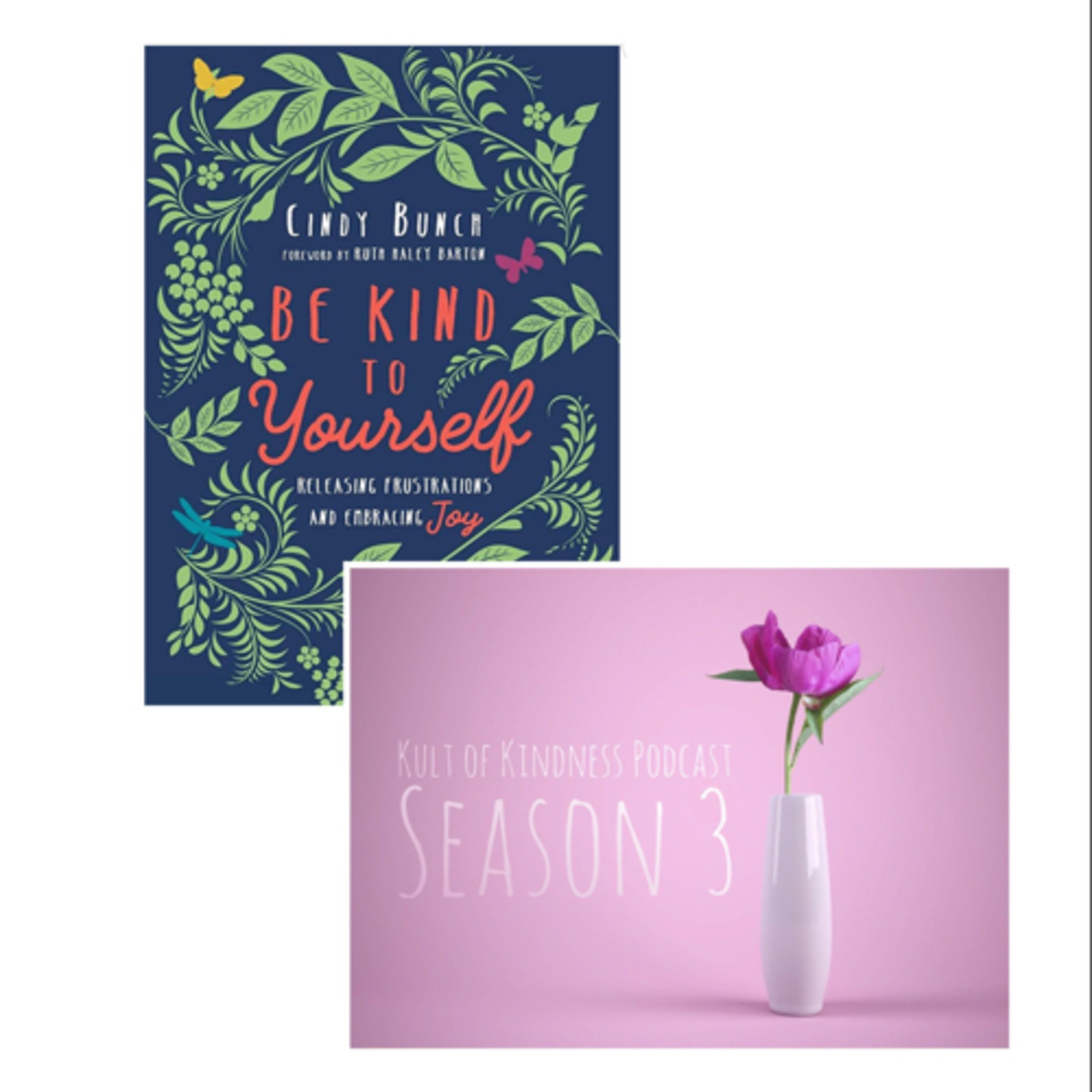 Introducing the Book of the Month episode artwork