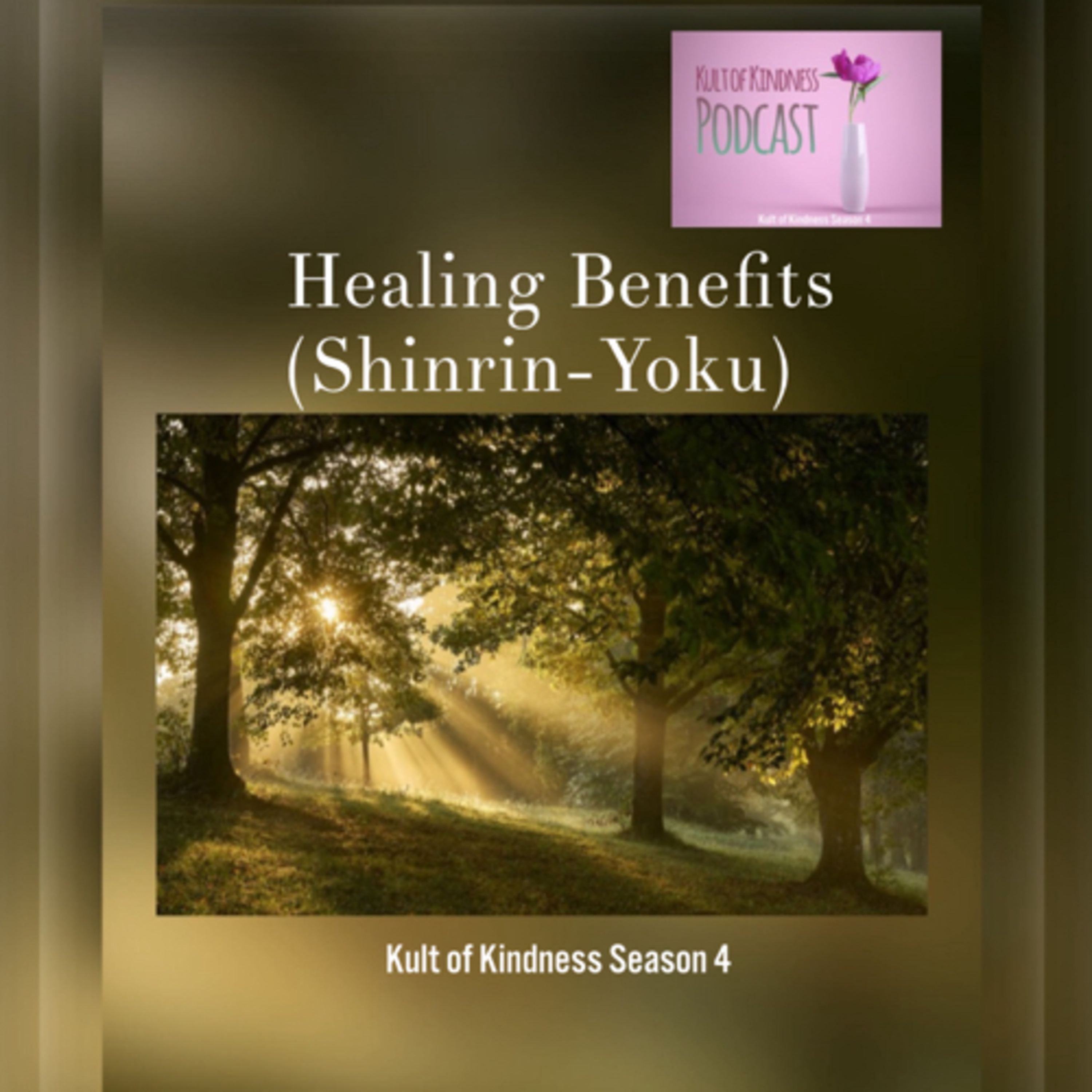 Healing Benefits (Shinrin-Yoku) episode artwork