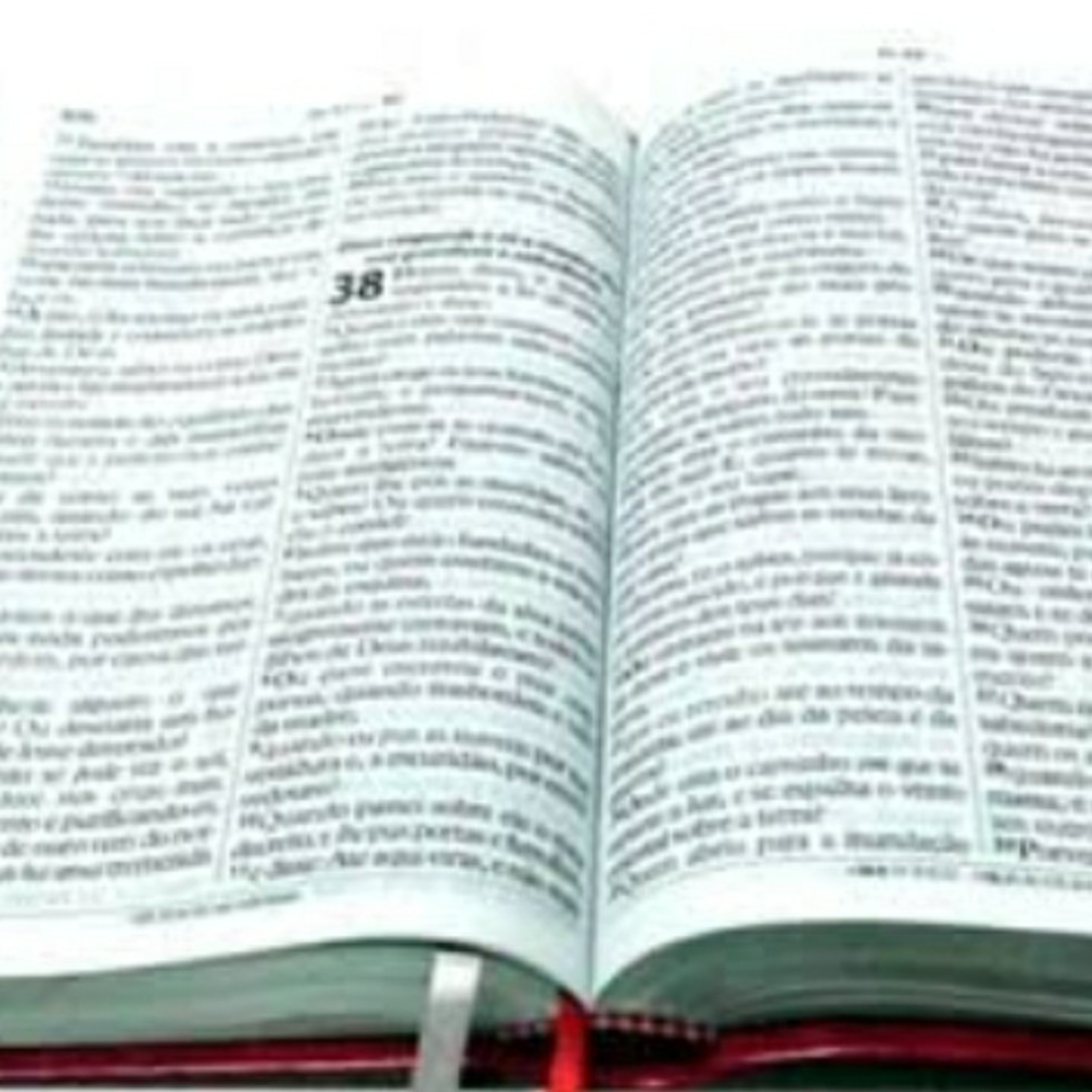 De repente Um poema....por Berê Fernandes