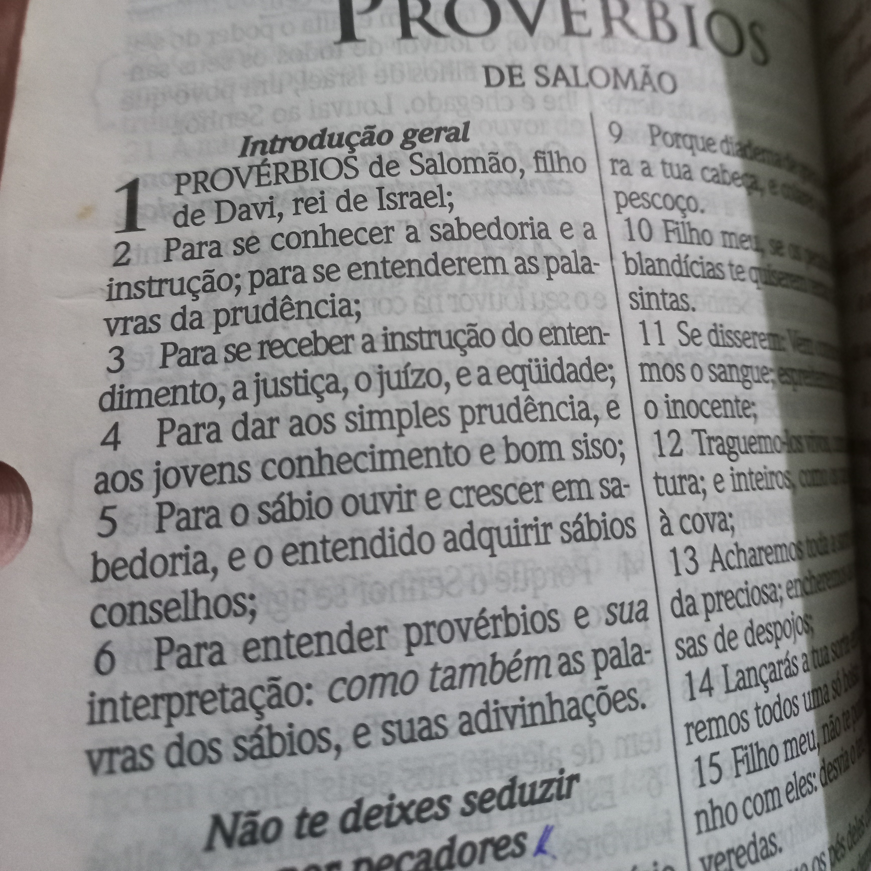 De repente Um poema....por Berê Fernandes