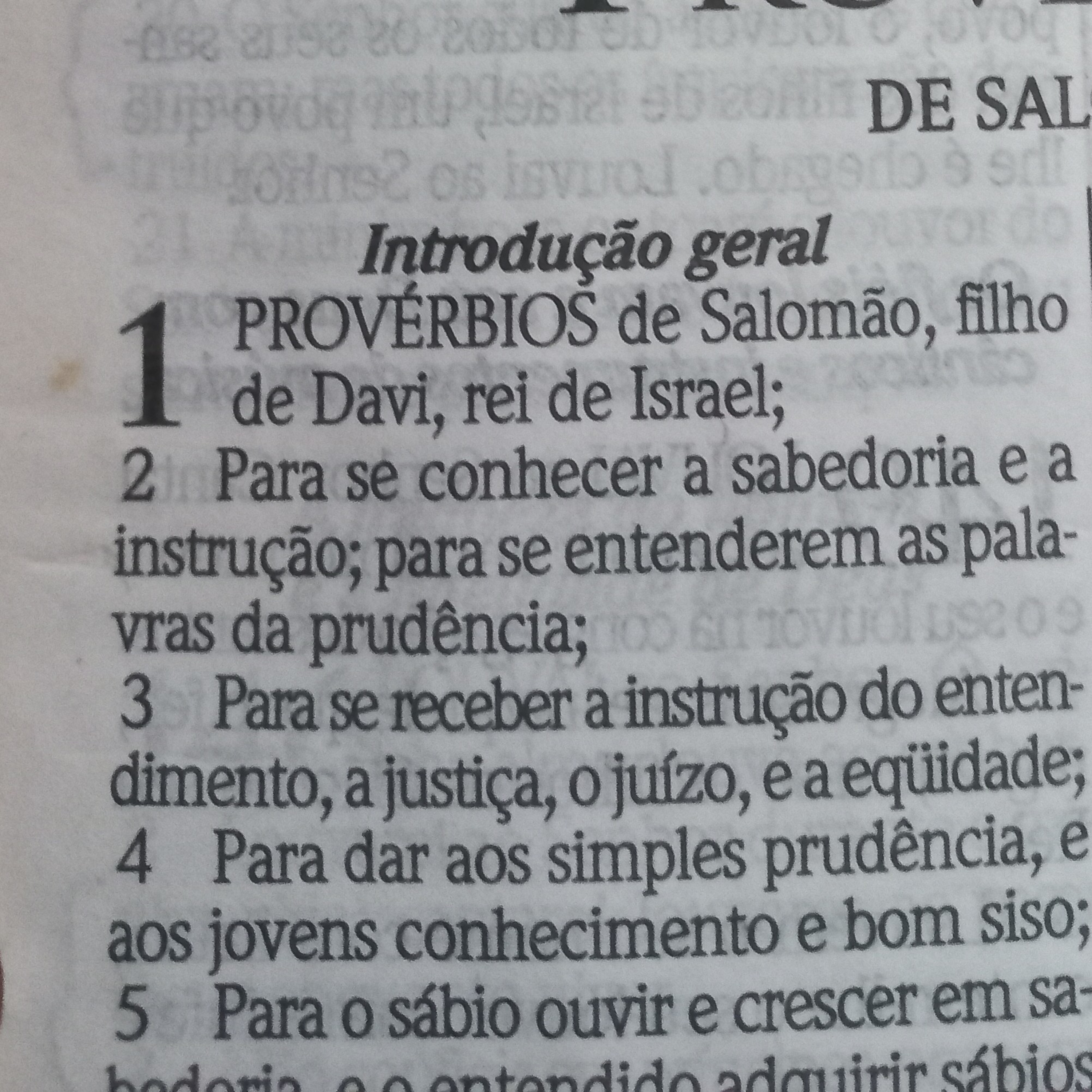 De repente Um poema....por Berê Fernandes