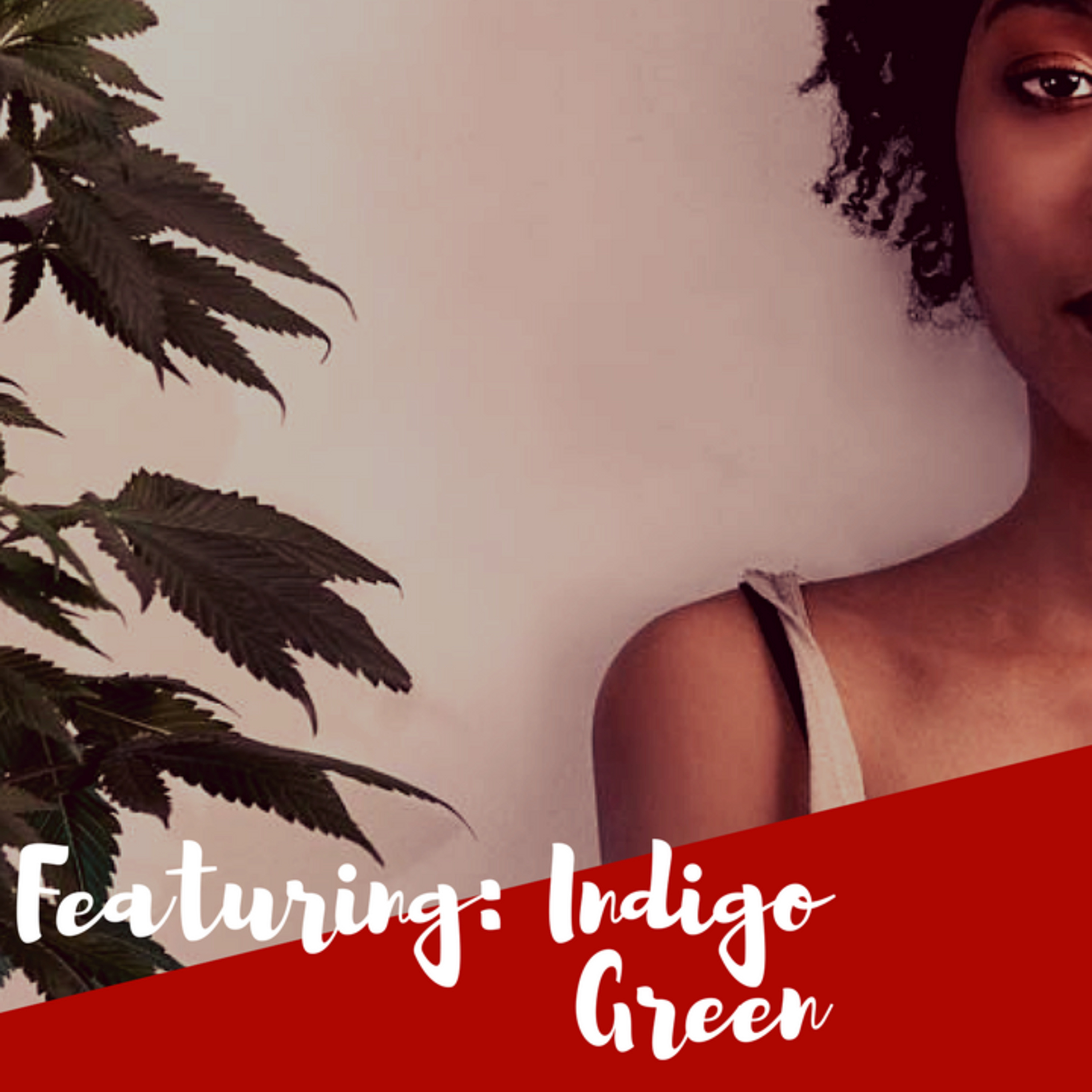 The MNM Show: Indigo Green January 23, 2018 episode artwork