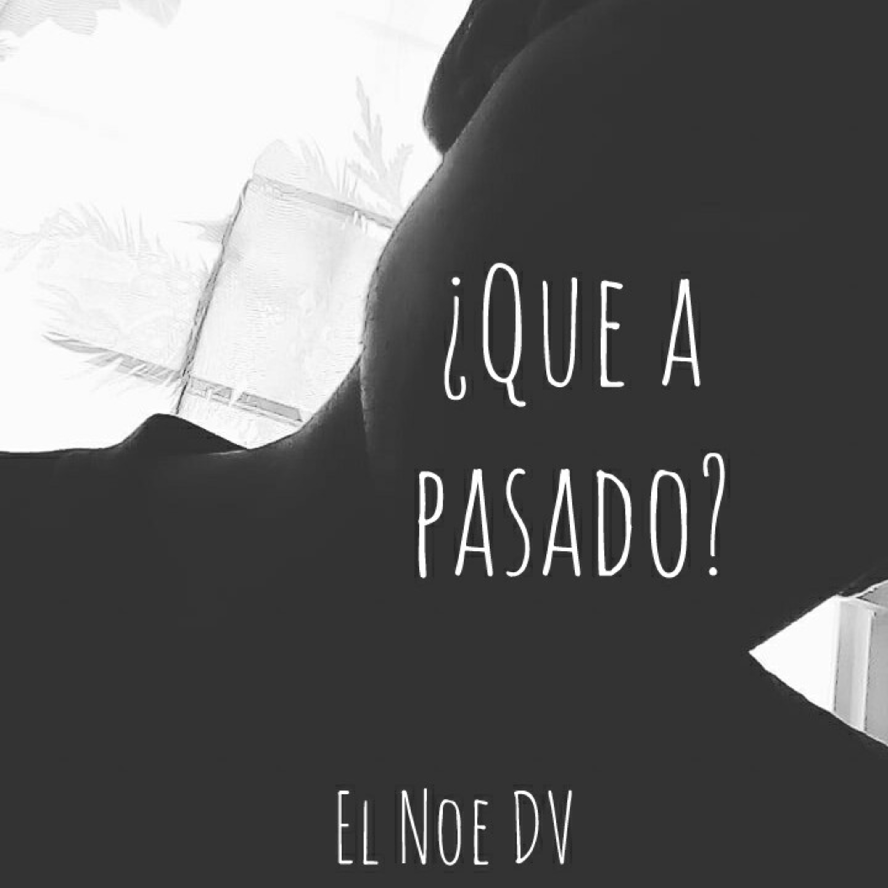 El Noe Dv