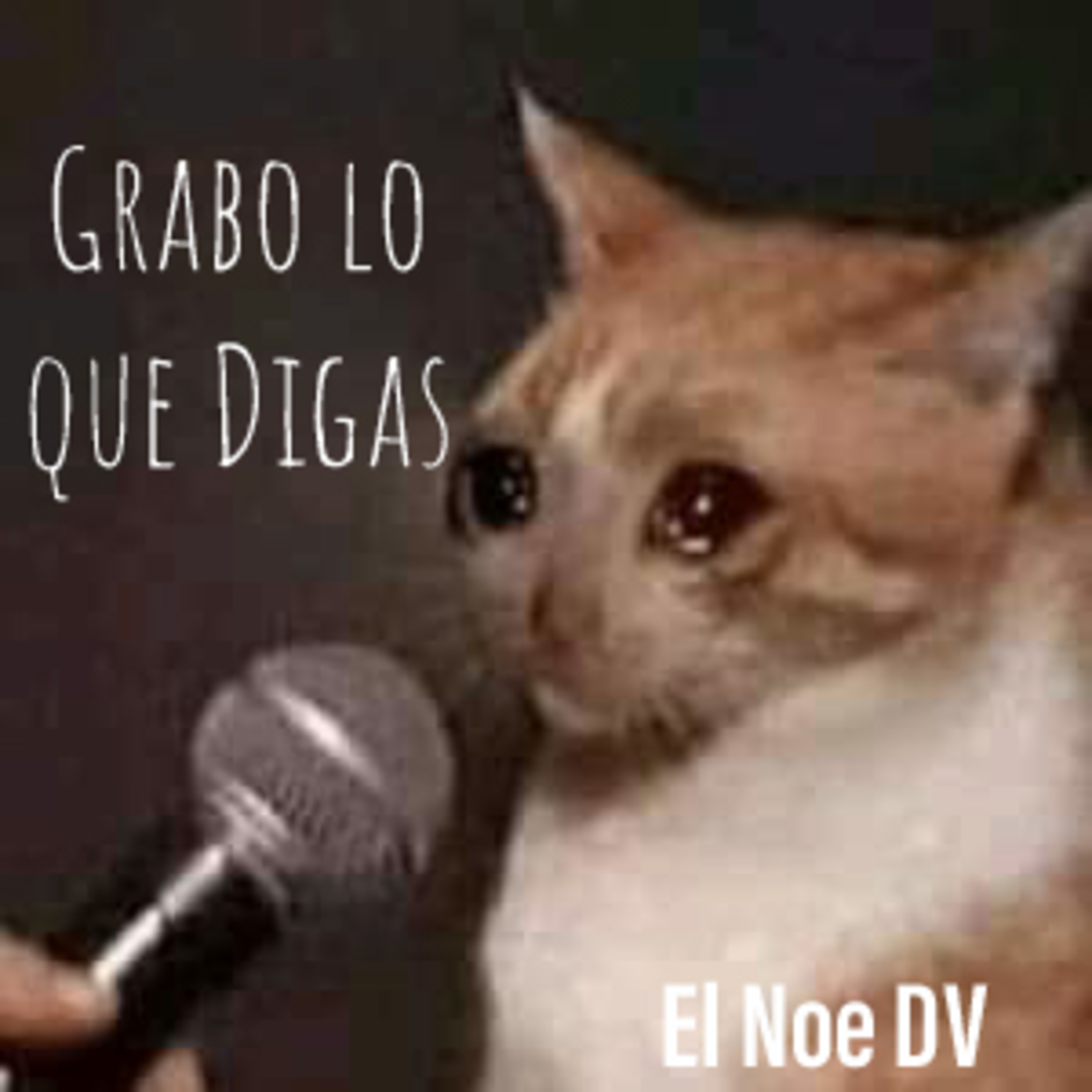 El Noe Dv