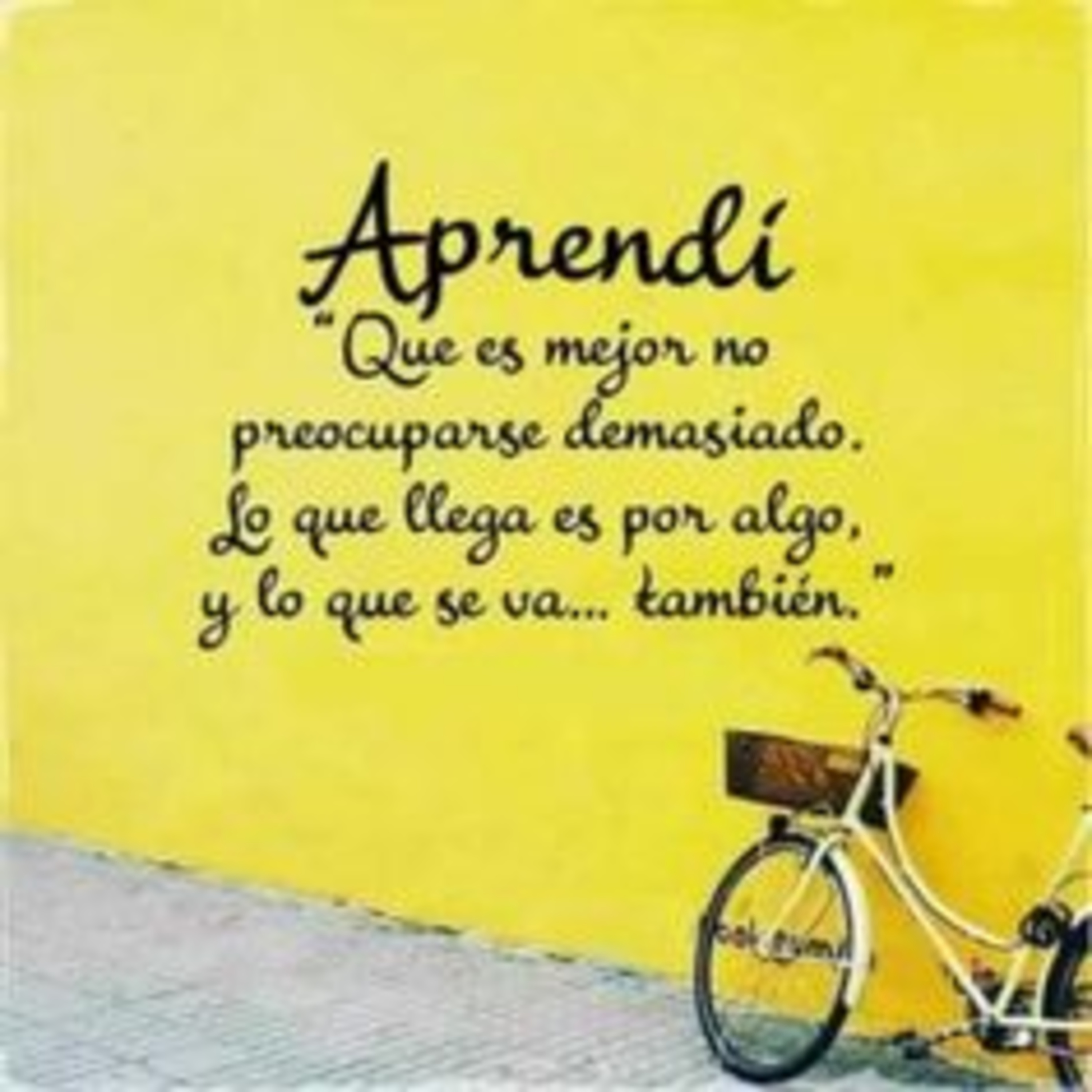 Amor y aprendizaje a través de la edad!!🌰🌹 episode artwork